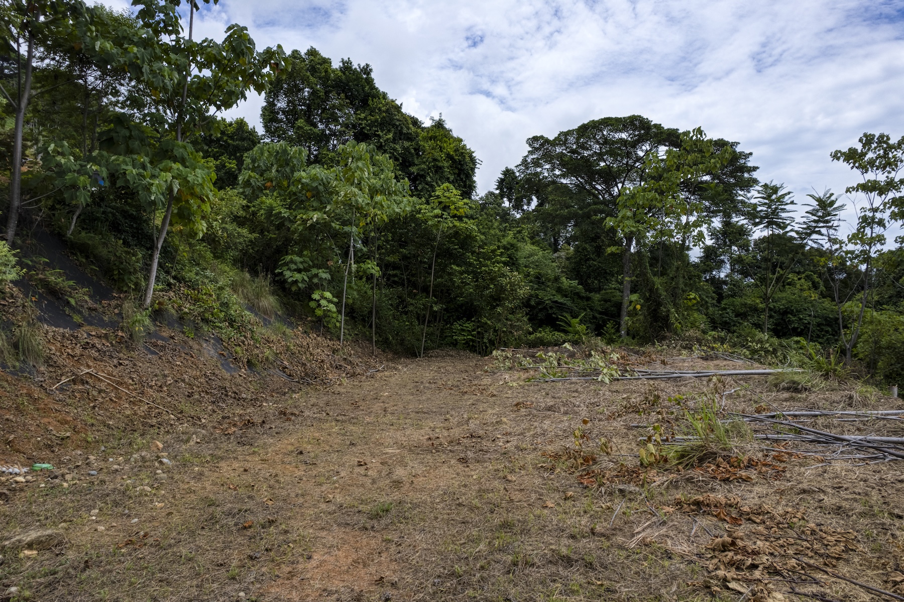 LAND WITH OCEAN VIEWS AND BUILDING POTENTIAL, IN PLAYA HERMOSA – 1.79 ACRES