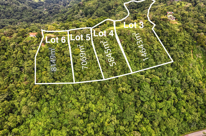 LOT 5 TROPICAL LAND WITH A BUILDABLE PLATFORM AND FRUIT TREES, IN CORONADO TRES RÍOS – 1.75 ACRES