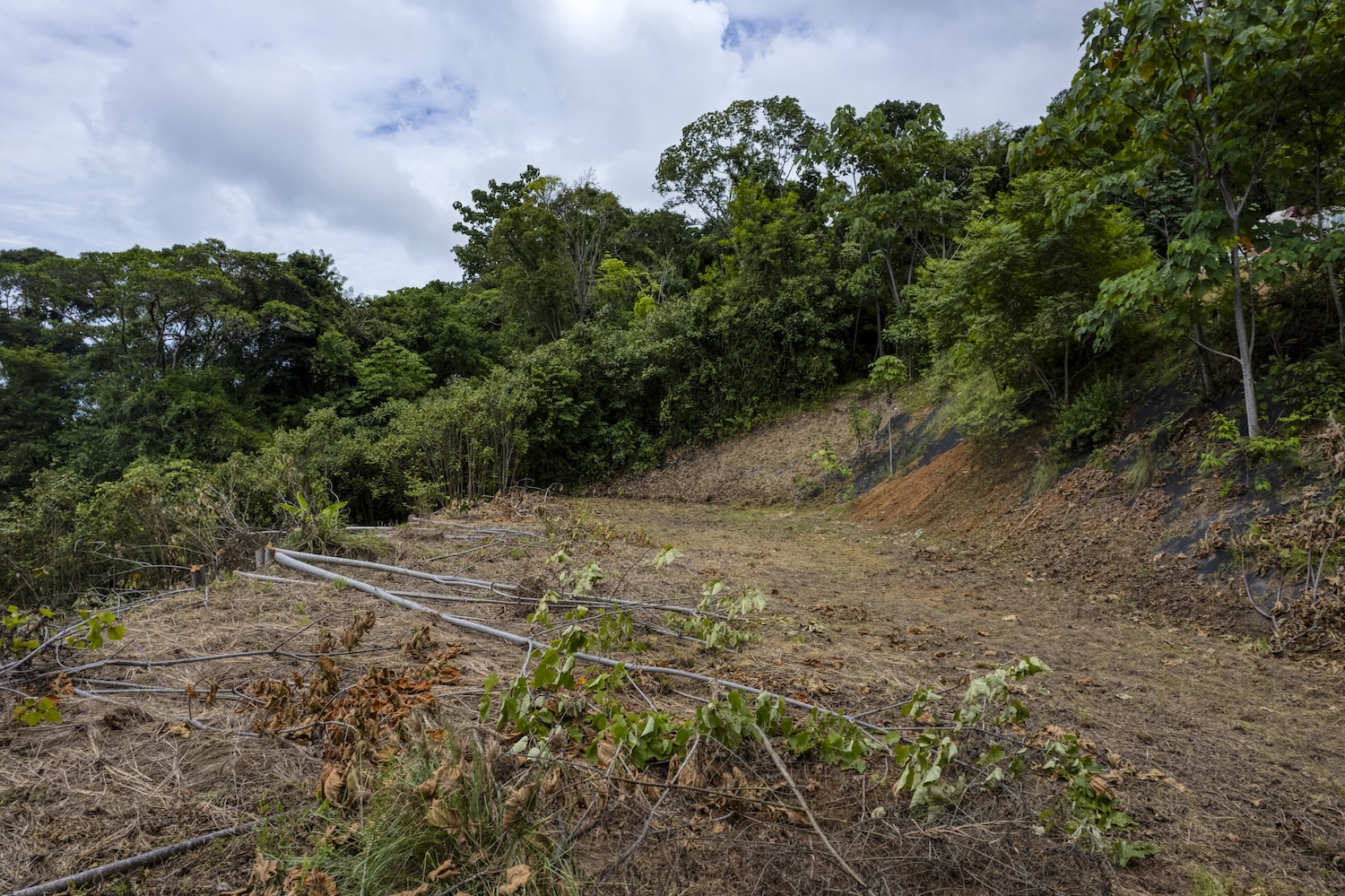 LAND WITH OCEAN VIEWS AND BUILDING POTENTIAL, IN PLAYA HERMOSA – 1.79 ACRES