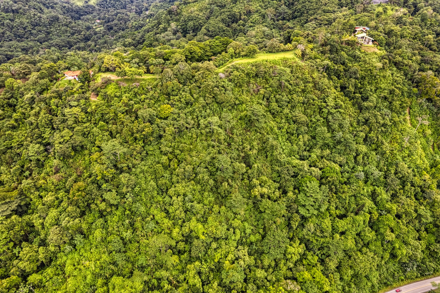LOT 5 TROPICAL LAND WITH A BUILDABLE PLATFORM AND FRUIT TREES, IN CORONADO TRES RÍOS – 1.75 ACRES
