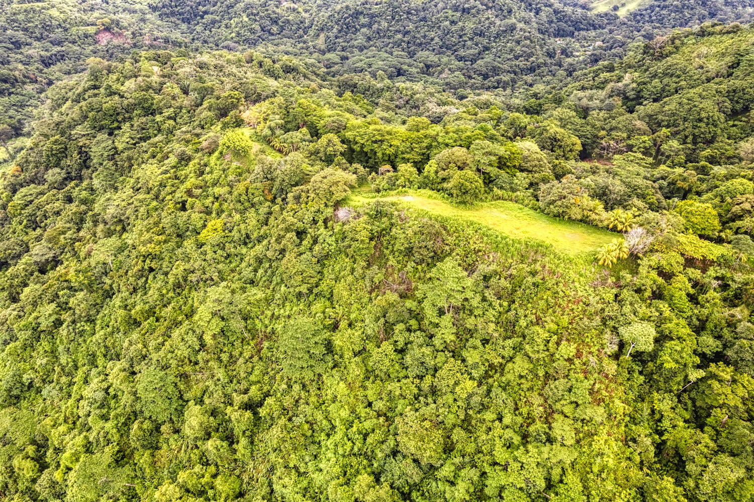 LOT 5 TROPICAL LAND WITH A BUILDABLE PLATFORM AND FRUIT TREES, IN CORONADO TRES RÍOS – 1.75 ACRES