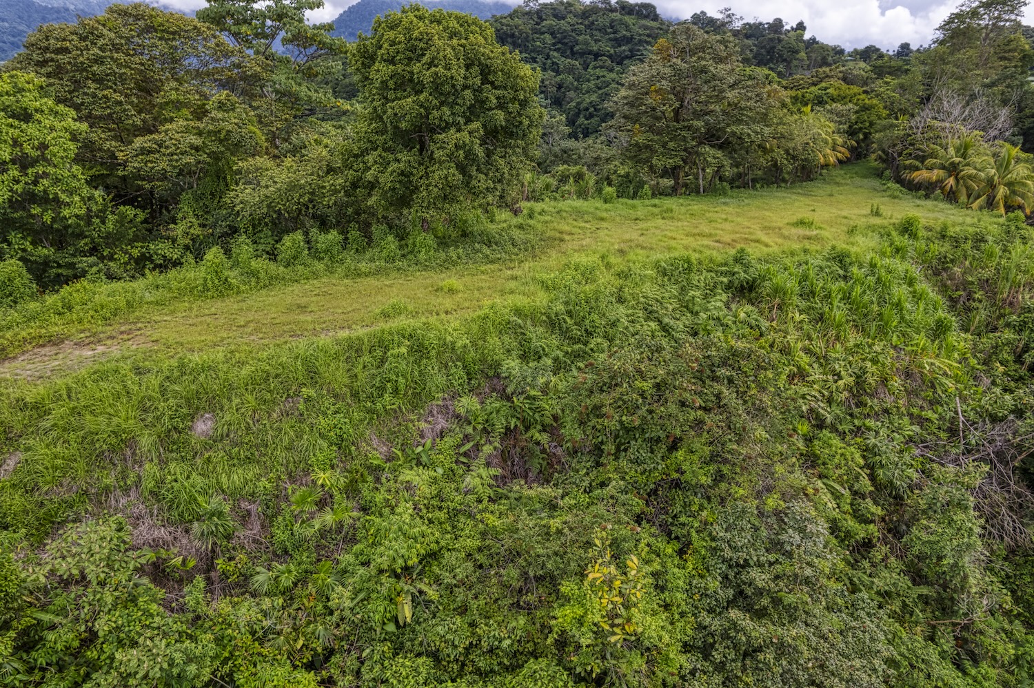 LOT 3 SPACIOUS MOUNTAIN LAND SURROUNDED BY JUNGLE, NEAR CORONADO TRES RIOS – 3.62 ACRES