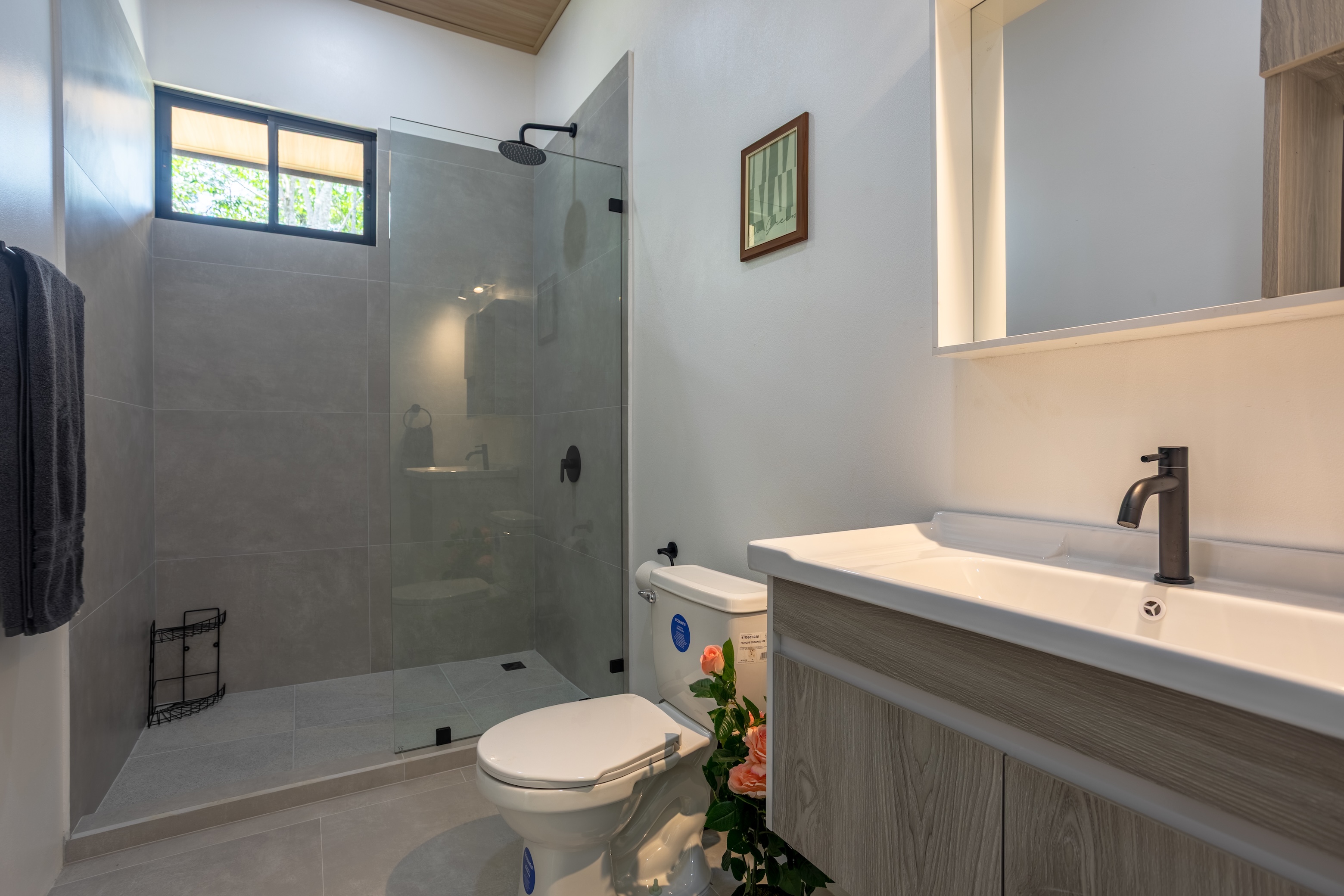 NATURAL RETREAT WITH THREE BEDROOMS IN TINAMASTES WITH A YEAR-ROUND STREAM AND DEVELOPMENT POTENTIAL – 3.5 ACRES