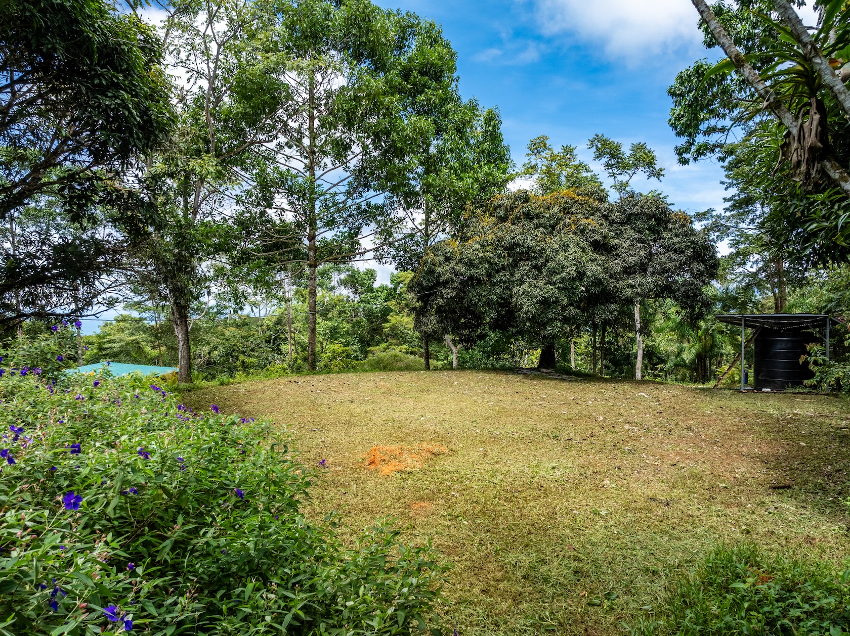 NATURAL RETREAT WITH THREE BEDROOMS IN TINAMASTES WITH A YEAR-ROUND STREAM AND DEVELOPMENT POTENTIAL – 3.5 ACRES