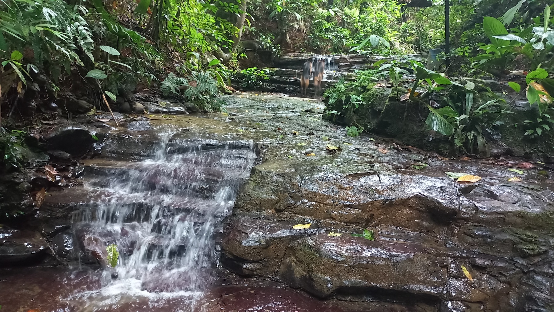 NATURAL RETREAT WITH THREE BEDROOMS IN TINAMASTES WITH A YEAR-ROUND STREAM AND DEVELOPMENT POTENTIAL – 3.5 ACRES