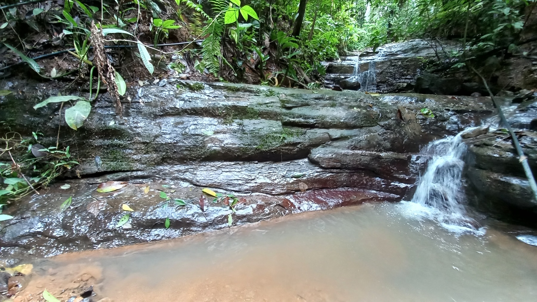 NATURAL RETREAT WITH THREE BEDROOMS IN TINAMASTES WITH A YEAR-ROUND STREAM AND DEVELOPMENT POTENTIAL – 3.5 ACRES