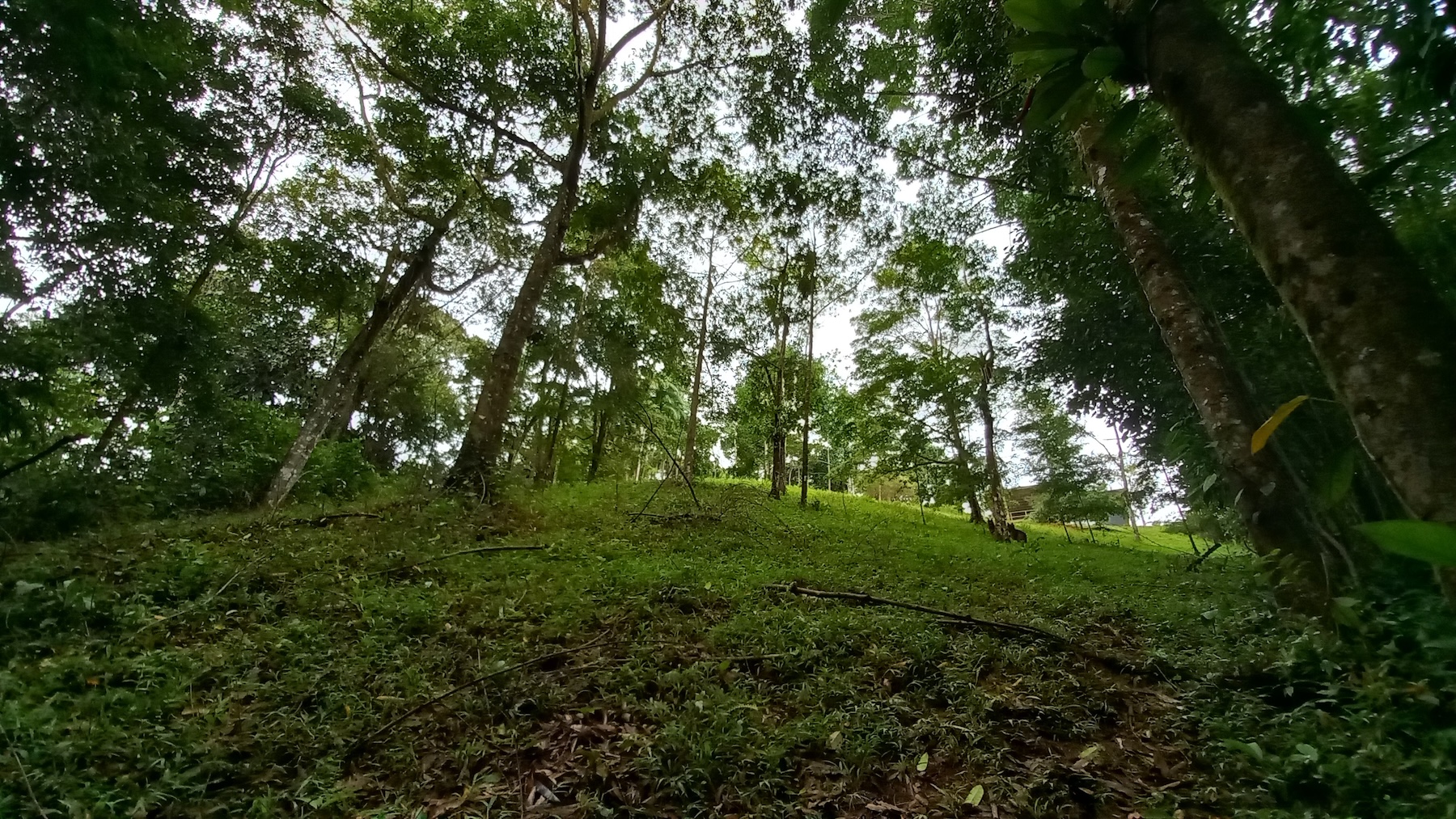 NATURAL RETREAT WITH THREE BEDROOMS IN TINAMASTES WITH A YEAR-ROUND STREAM AND DEVELOPMENT POTENTIAL – 3.5 ACRES