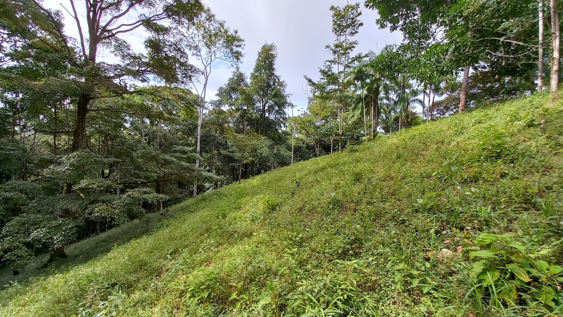 NATURAL RETREAT WITH THREE BEDROOMS IN TINAMASTES WITH A YEAR-ROUND STREAM AND DEVELOPMENT POTENTIAL – 3.5 ACRES