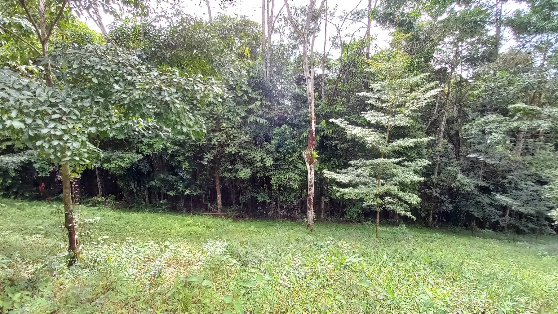 NATURAL RETREAT WITH THREE BEDROOMS IN TINAMASTES WITH A YEAR-ROUND STREAM AND DEVELOPMENT POTENTIAL – 3.5 ACRES