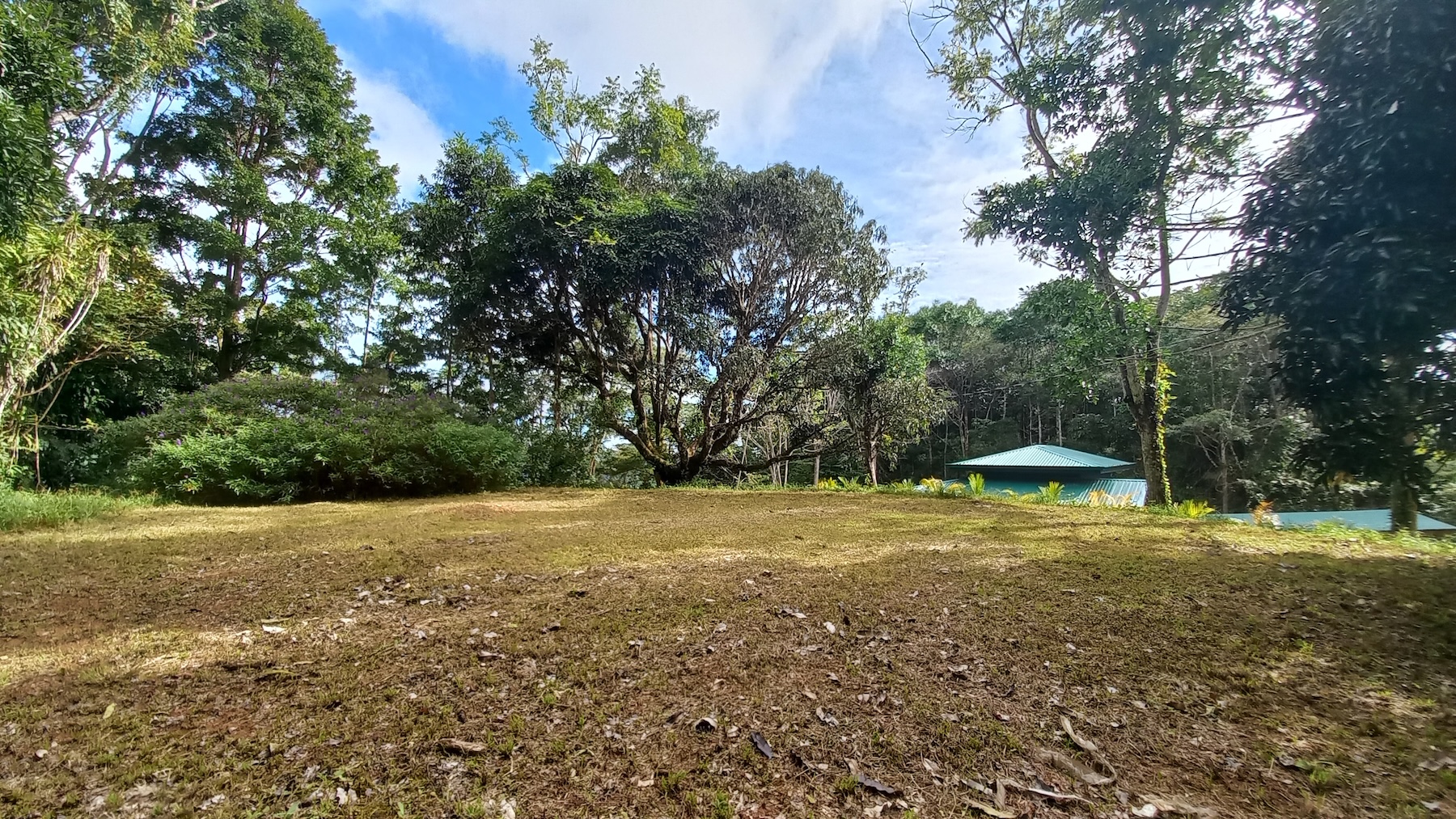 NATURAL RETREAT WITH THREE BEDROOMS IN TINAMASTES WITH A YEAR-ROUND STREAM AND DEVELOPMENT POTENTIAL – 3.5 ACRES