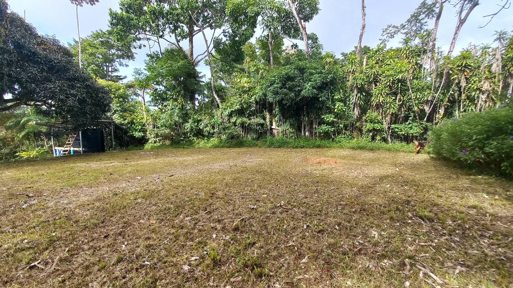 NATURAL RETREAT WITH THREE BEDROOMS IN TINAMASTES WITH A YEAR-ROUND STREAM AND DEVELOPMENT POTENTIAL – 3.5 ACRES