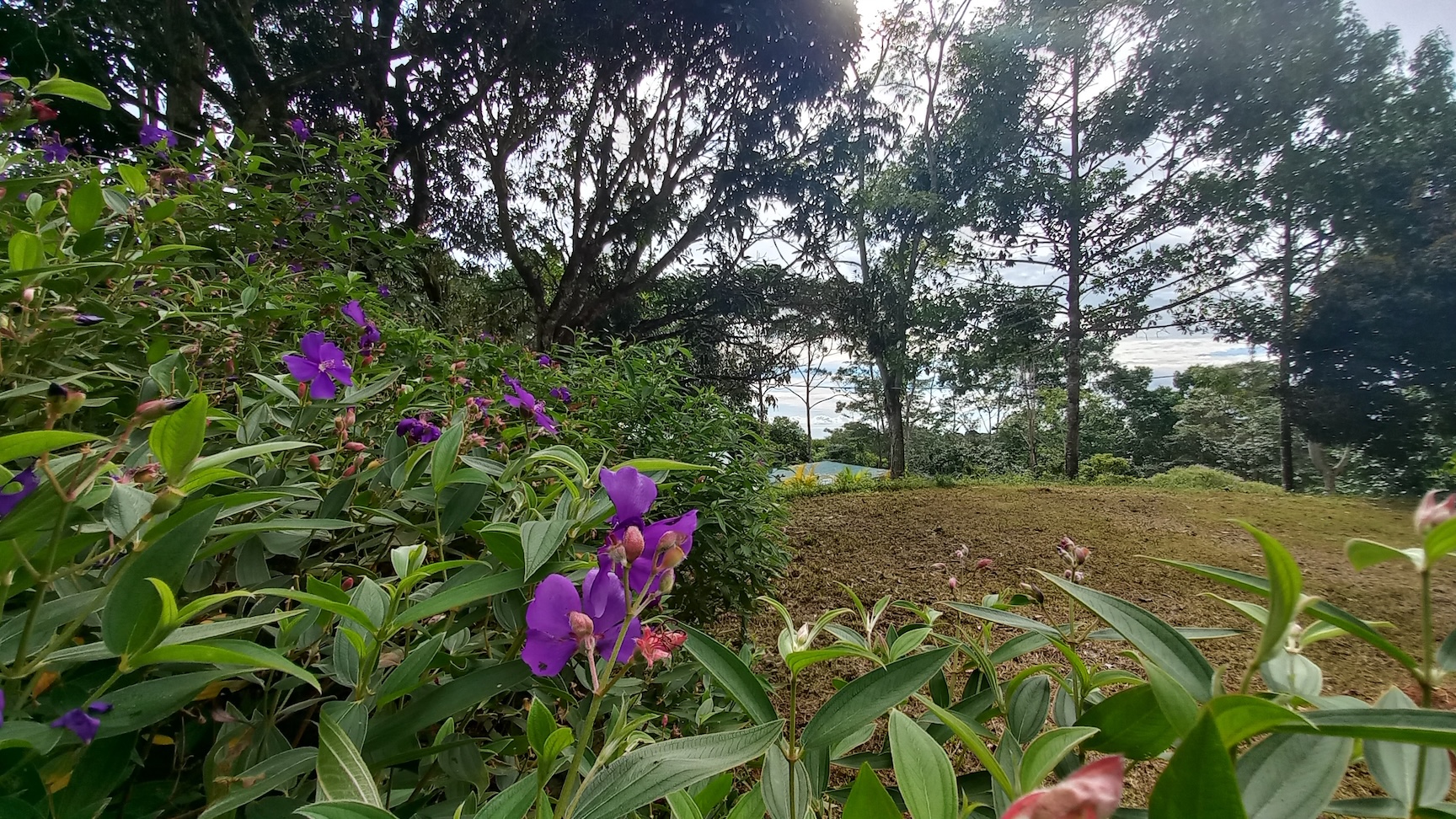 NATURAL RETREAT WITH THREE BEDROOMS IN TINAMASTES WITH A YEAR-ROUND STREAM AND DEVELOPMENT POTENTIAL – 3.5 ACRES