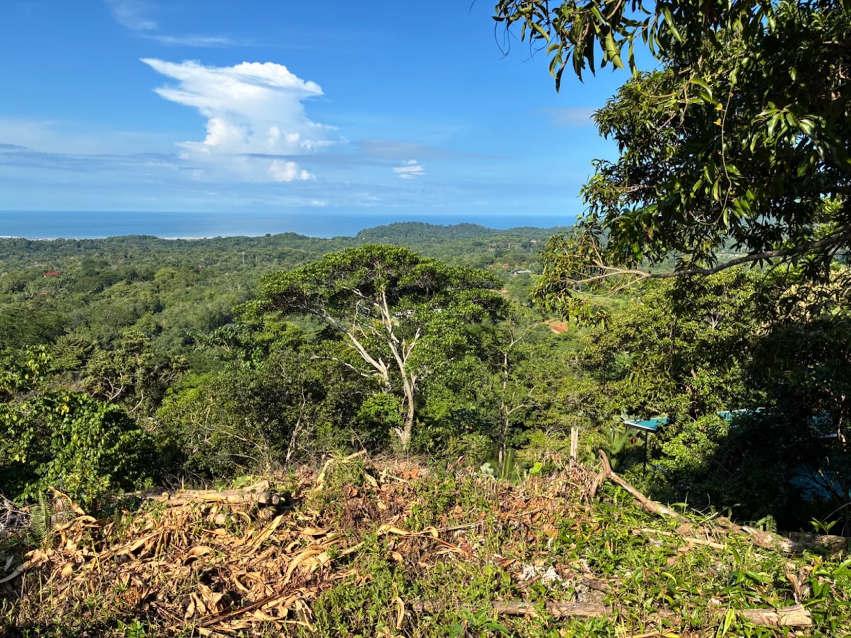 LOT WITH PANORAMIC OCEAN VIEWS, CAÑO ISLAND, AND WHALE ROCK, IN OJOCHAL