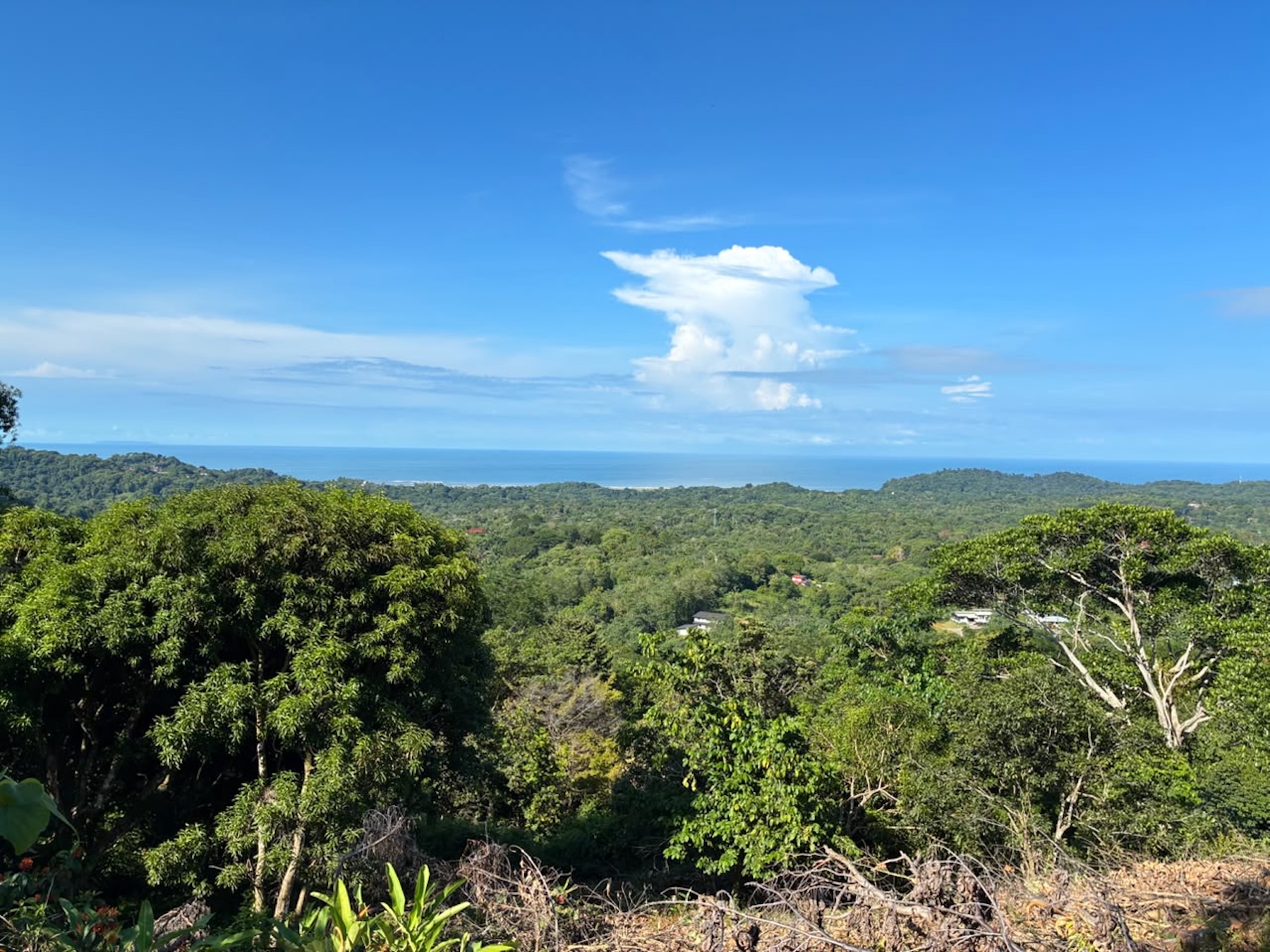 LOT WITH PANORAMIC OCEAN VIEWS, CAÑO ISLAND, AND WHALE ROCK, IN OJOCHAL