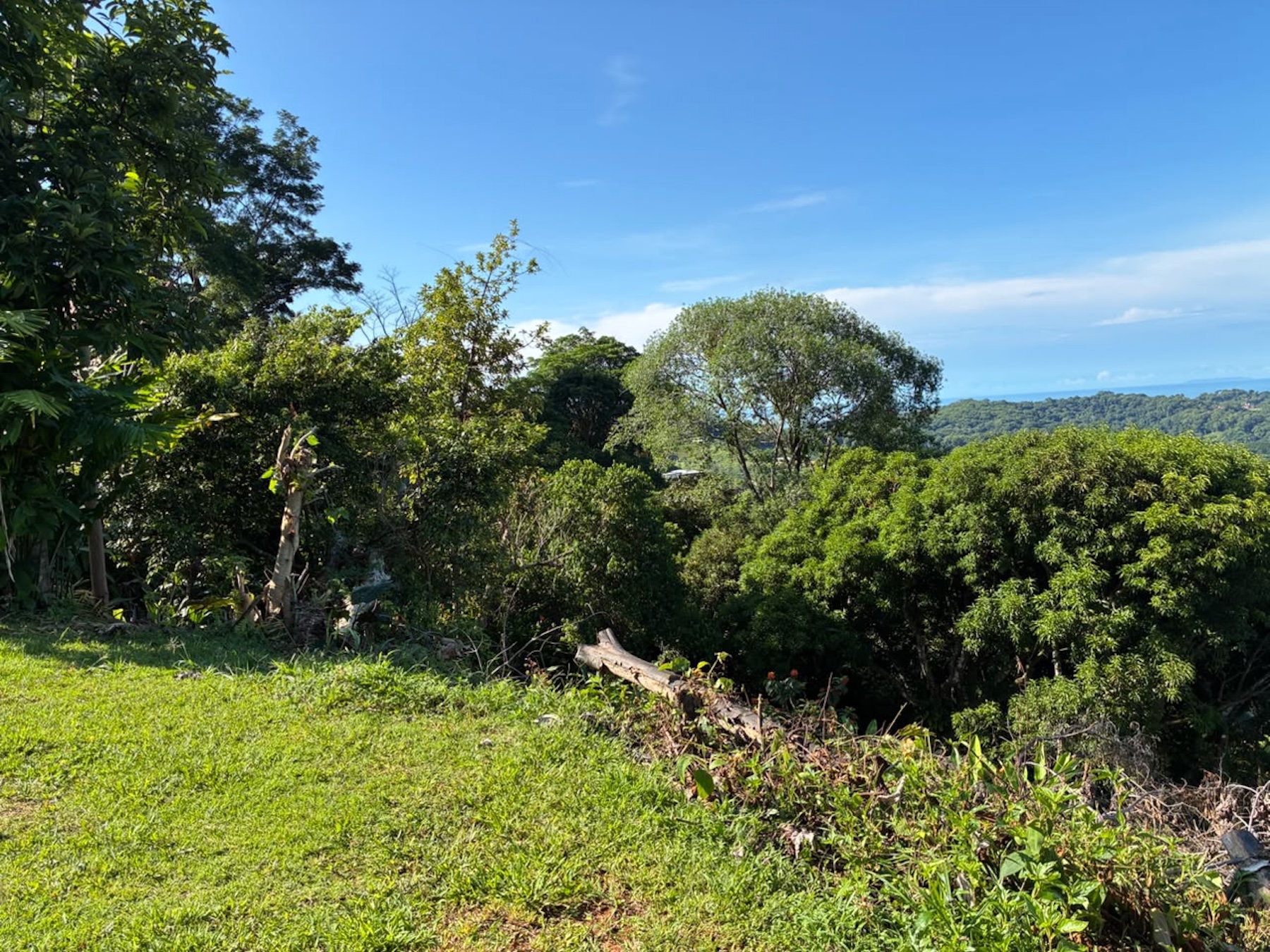 LOT WITH PANORAMIC OCEAN VIEWS, CAÑO ISLAND, AND WHALE ROCK, IN OJOCHAL