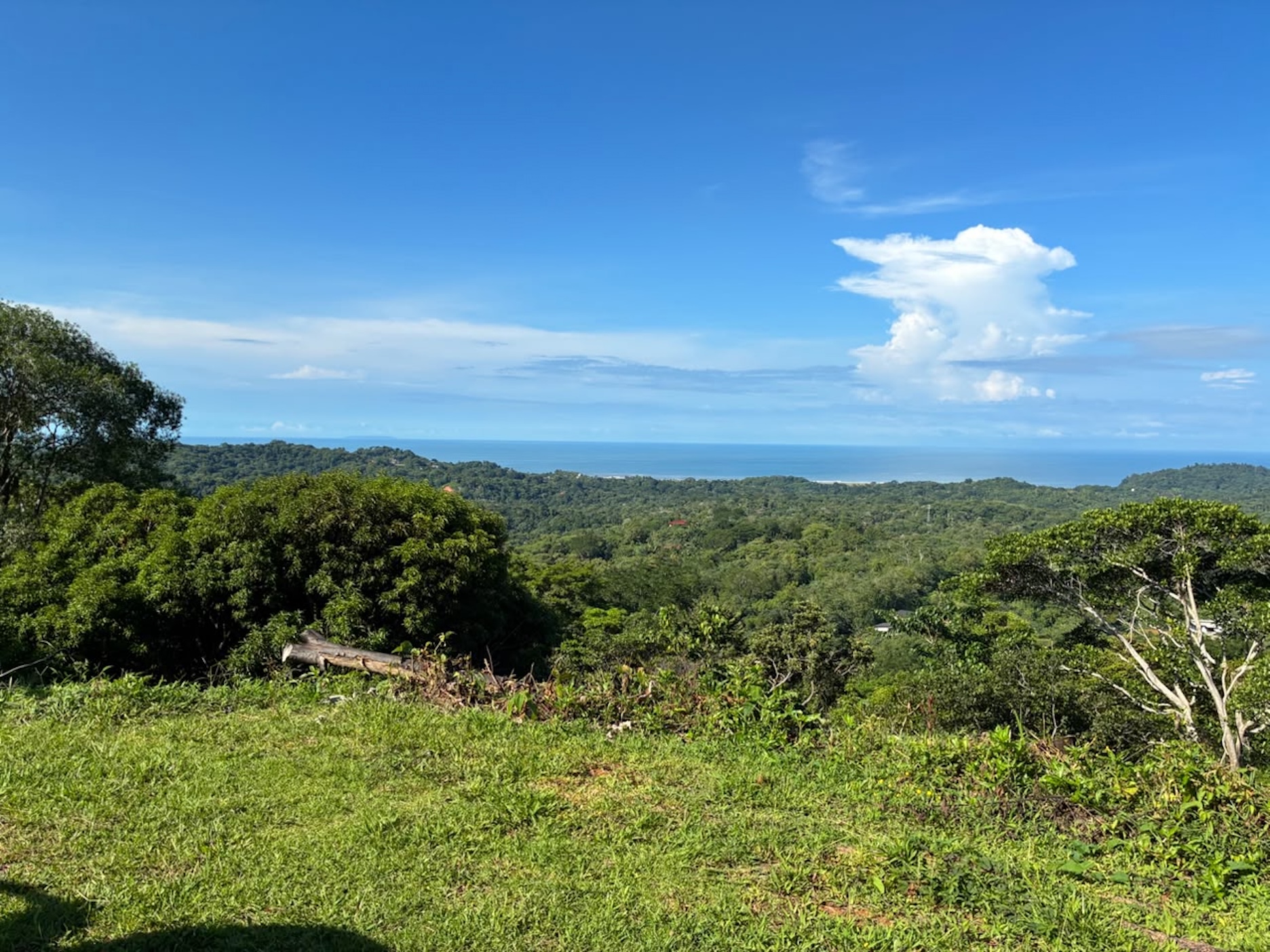 LOT WITH PANORAMIC OCEAN VIEWS, CAÑO ISLAND, AND WHALE ROCK, IN OJOCHAL