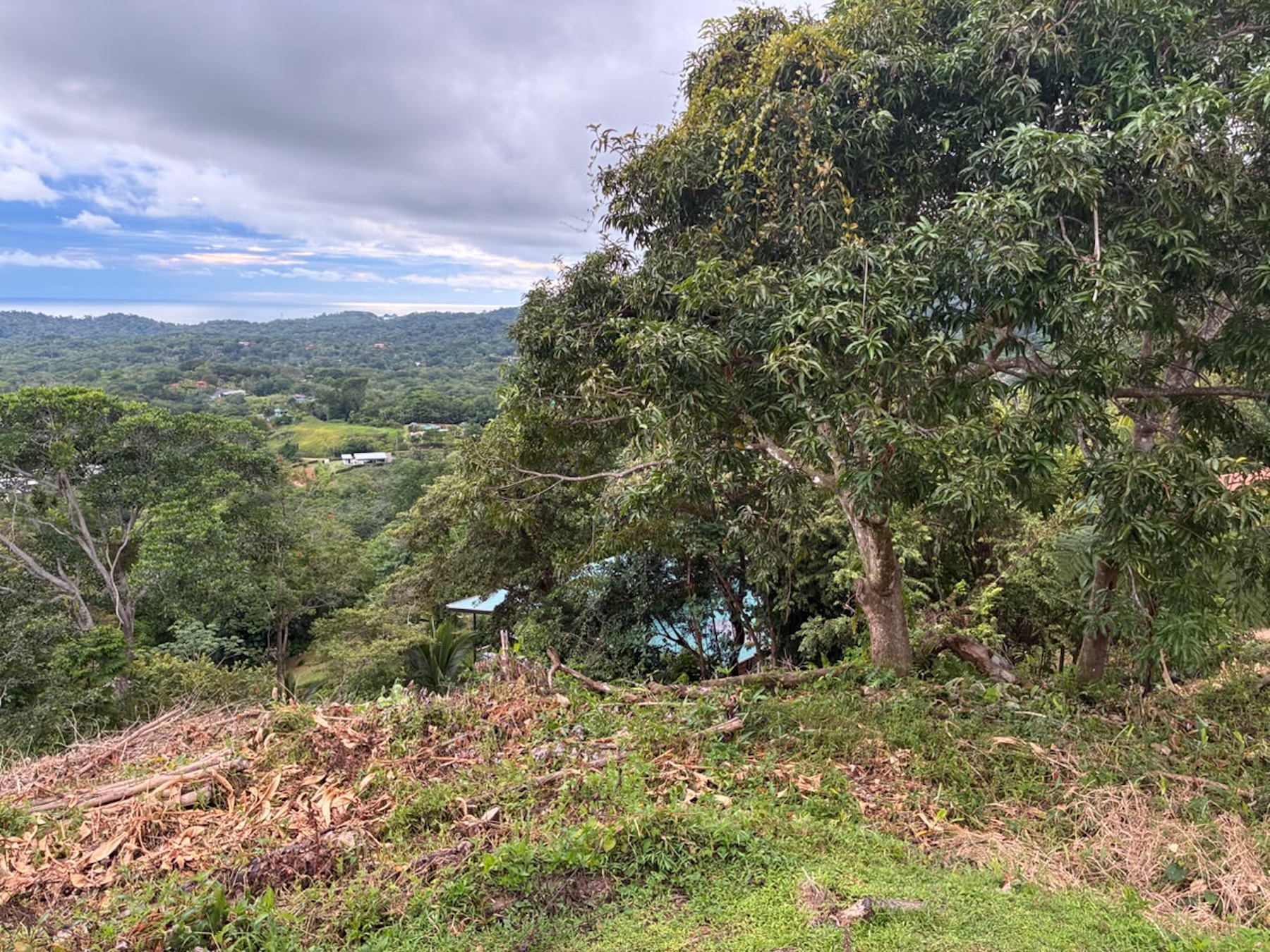 LOT WITH PANORAMIC OCEAN VIEWS, CAÑO ISLAND, AND WHALE ROCK, IN OJOCHAL