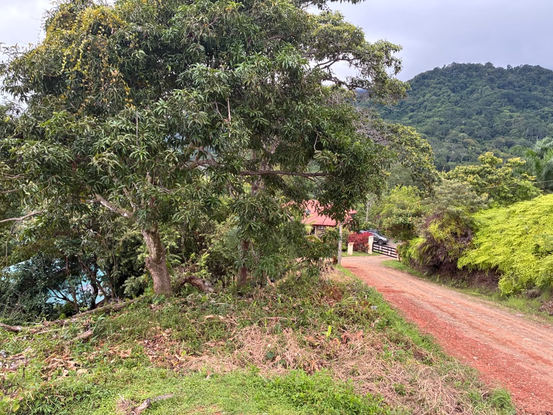 LOT WITH PANORAMIC OCEAN VIEWS, CAÑO ISLAND, AND WHALE ROCK, IN OJOCHAL
