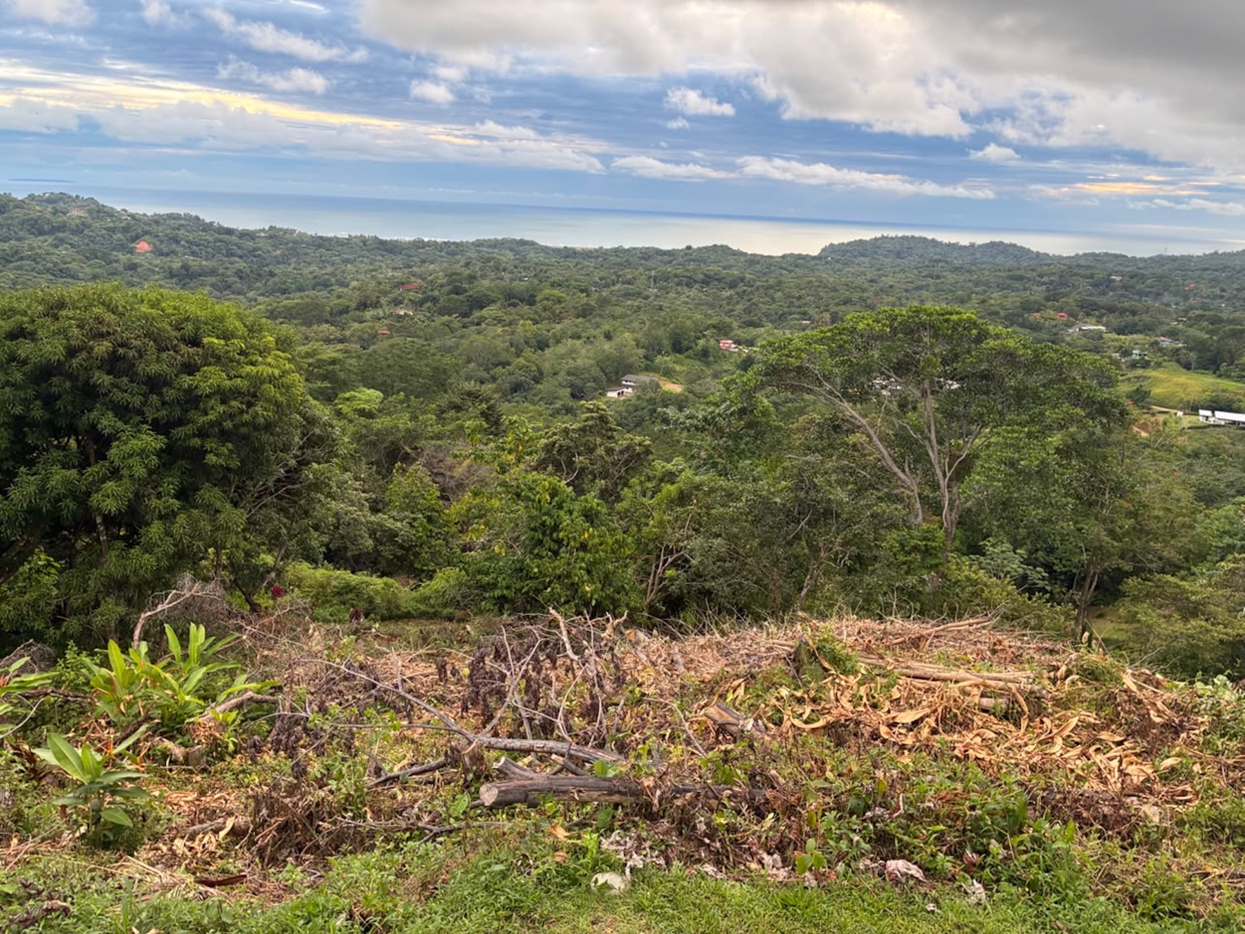 LOT WITH PANORAMIC OCEAN VIEWS, CAÑO ISLAND, AND WHALE ROCK, IN OJOCHAL