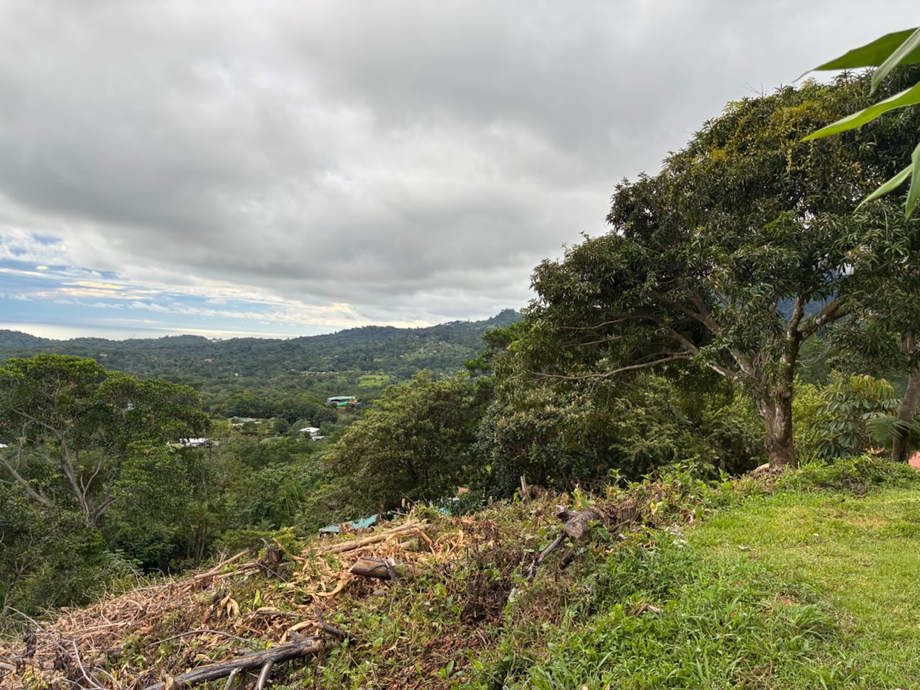 LOT WITH PANORAMIC OCEAN VIEWS, CAÑO ISLAND, AND WHALE ROCK, IN OJOCHAL