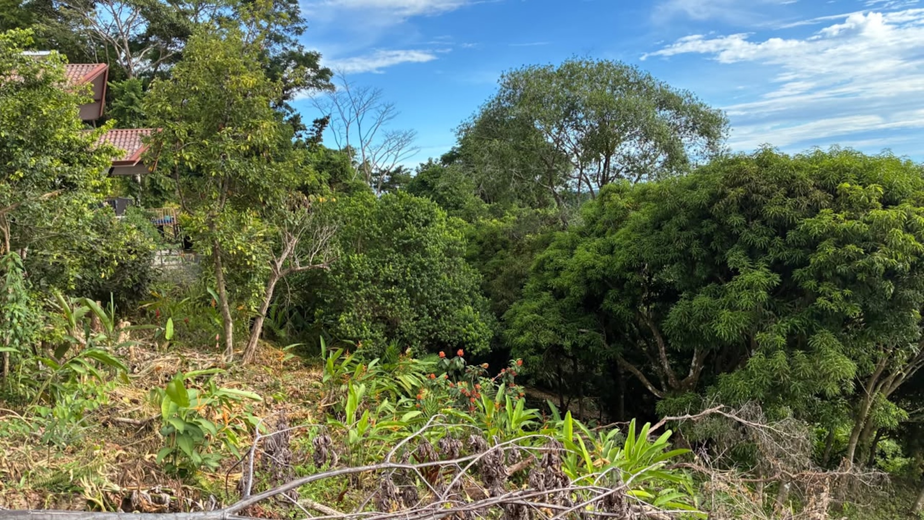 LOT WITH PANORAMIC OCEAN VIEWS, CAÑO ISLAND, AND WHALE ROCK, IN OJOCHAL