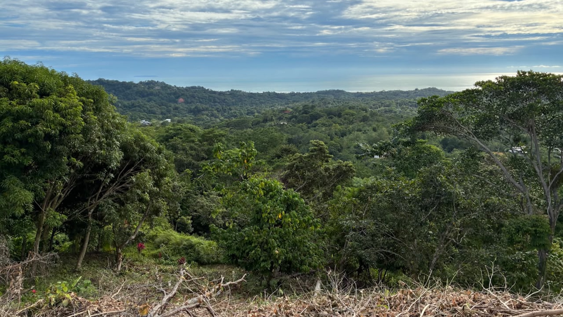 LOT WITH PANORAMIC OCEAN VIEWS, CAÑO ISLAND, AND WHALE ROCK, IN OJOCHAL