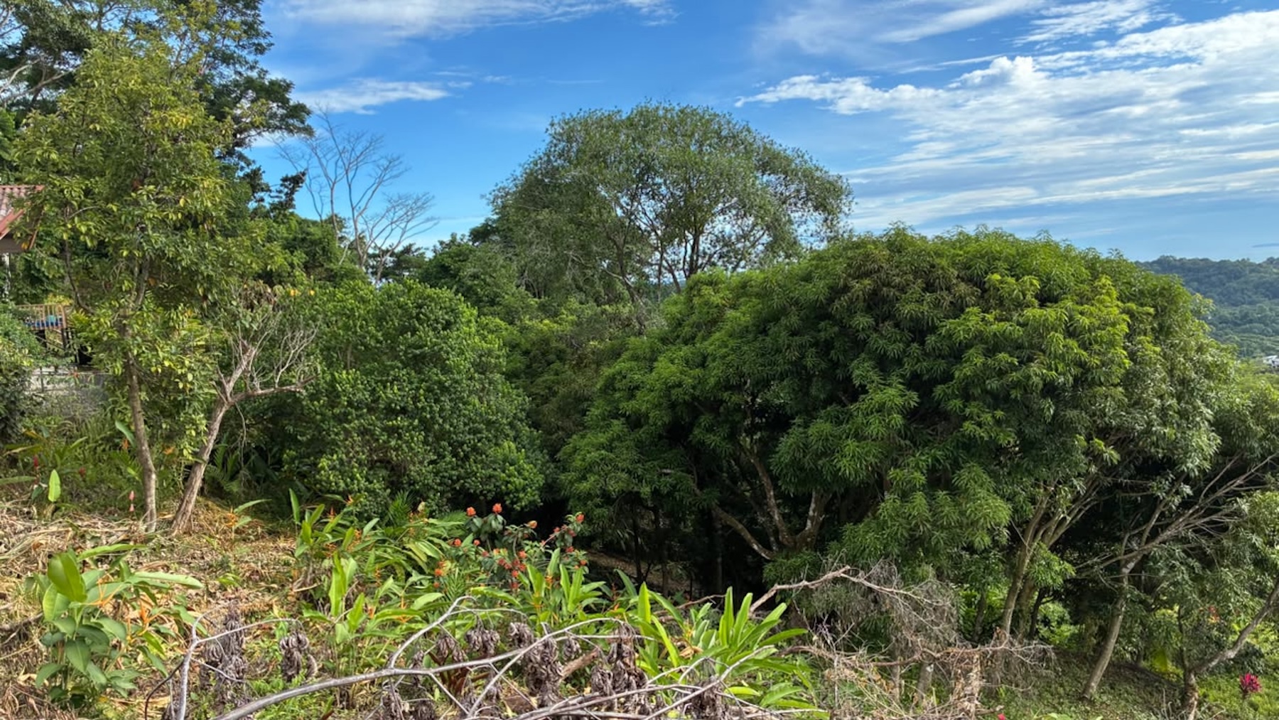 LOT WITH PANORAMIC OCEAN VIEWS, CAÑO ISLAND, AND WHALE ROCK, IN OJOCHAL