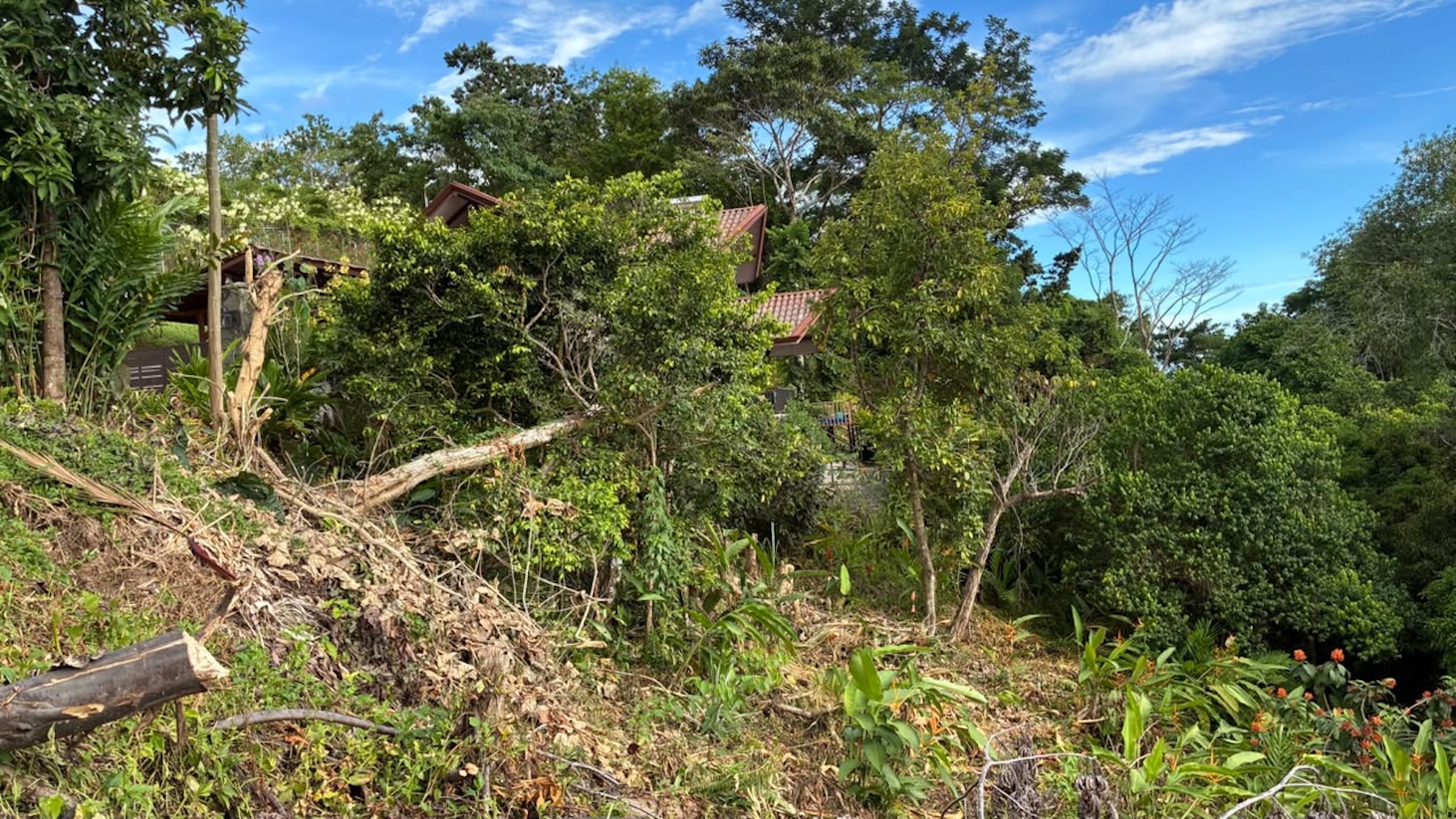 LOT WITH PANORAMIC OCEAN VIEWS, CAÑO ISLAND, AND WHALE ROCK, IN OJOCHAL