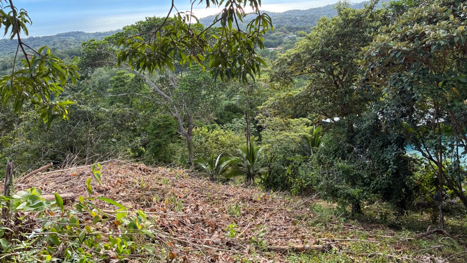 LOT WITH PANORAMIC OCEAN VIEWS, CAÑO ISLAND, AND WHALE ROCK, IN OJOCHAL