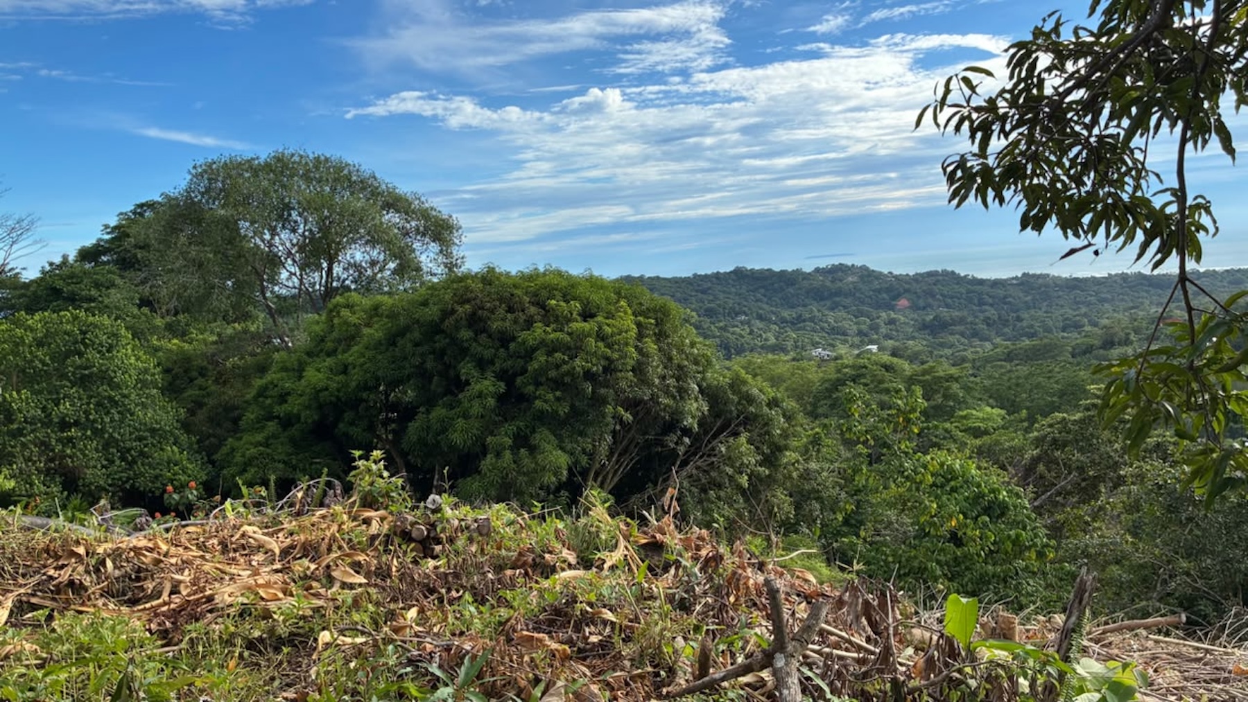 LOT WITH PANORAMIC OCEAN VIEWS, CAÑO ISLAND, AND WHALE ROCK, IN OJOCHAL