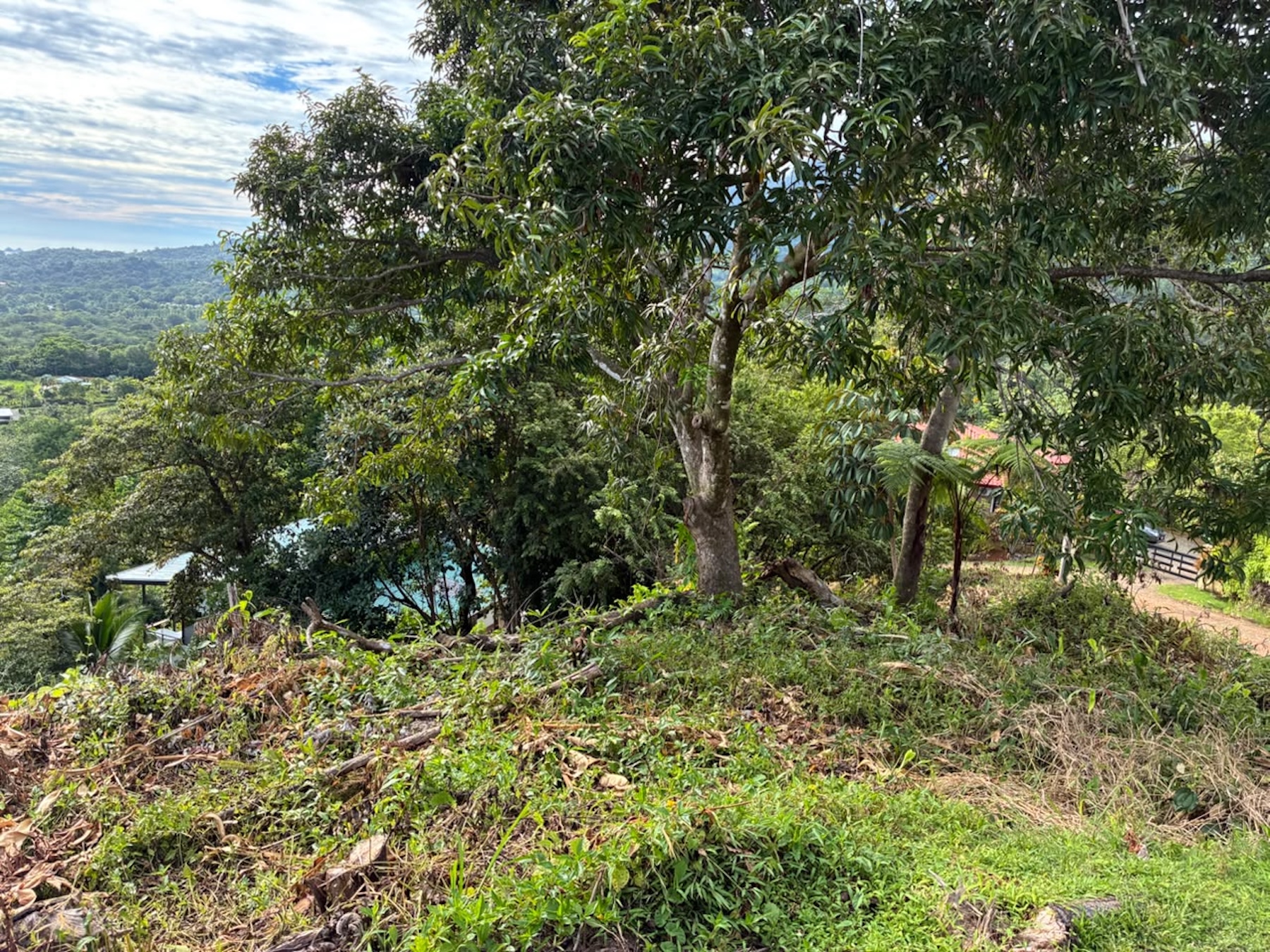 LOT WITH PANORAMIC OCEAN VIEWS, CAÑO ISLAND, AND WHALE ROCK, IN OJOCHAL