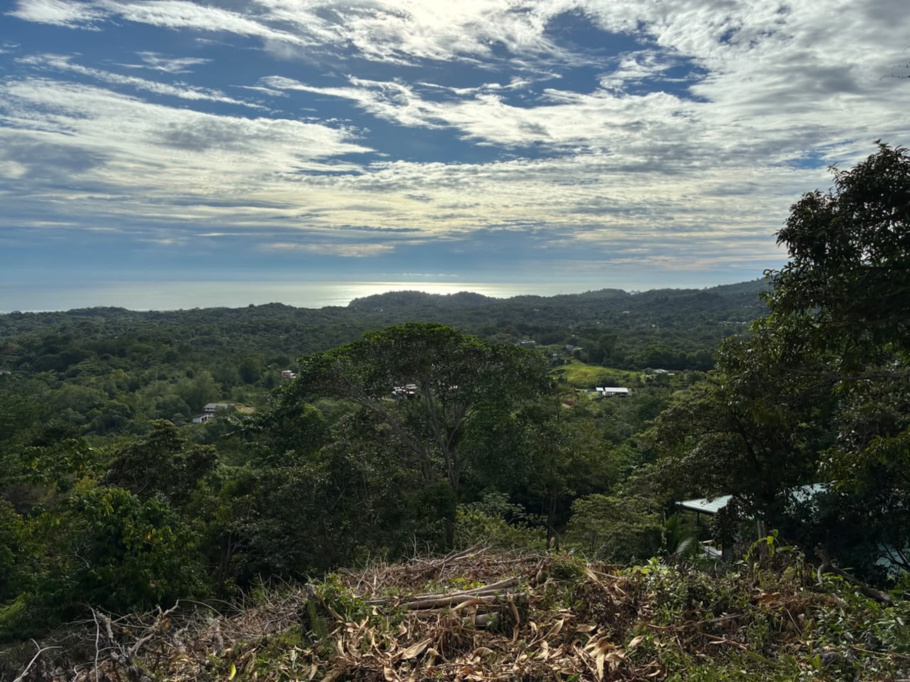 LOT WITH PANORAMIC OCEAN VIEWS, CAÑO ISLAND, AND WHALE ROCK, IN OJOCHAL