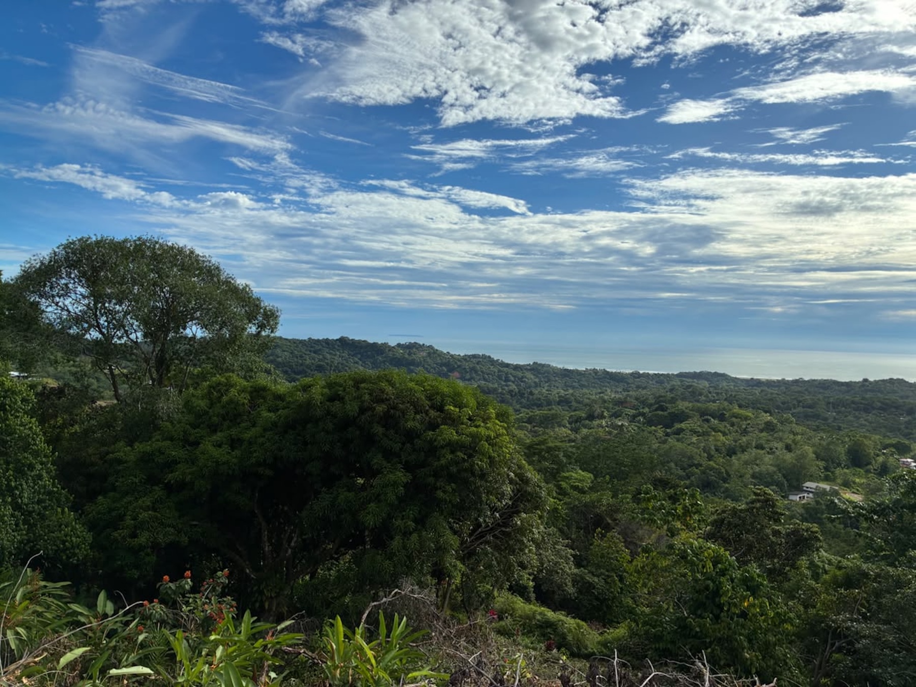 LOT WITH PANORAMIC OCEAN VIEWS, CAÑO ISLAND, AND WHALE ROCK, IN OJOCHAL