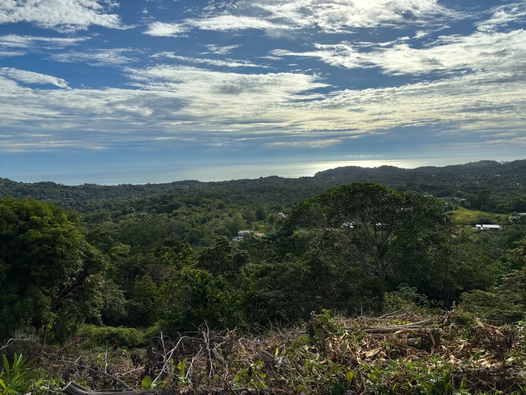 LOT WITH PANORAMIC OCEAN VIEWS, CAÑO ISLAND, AND WHALE ROCK, IN OJOCHAL