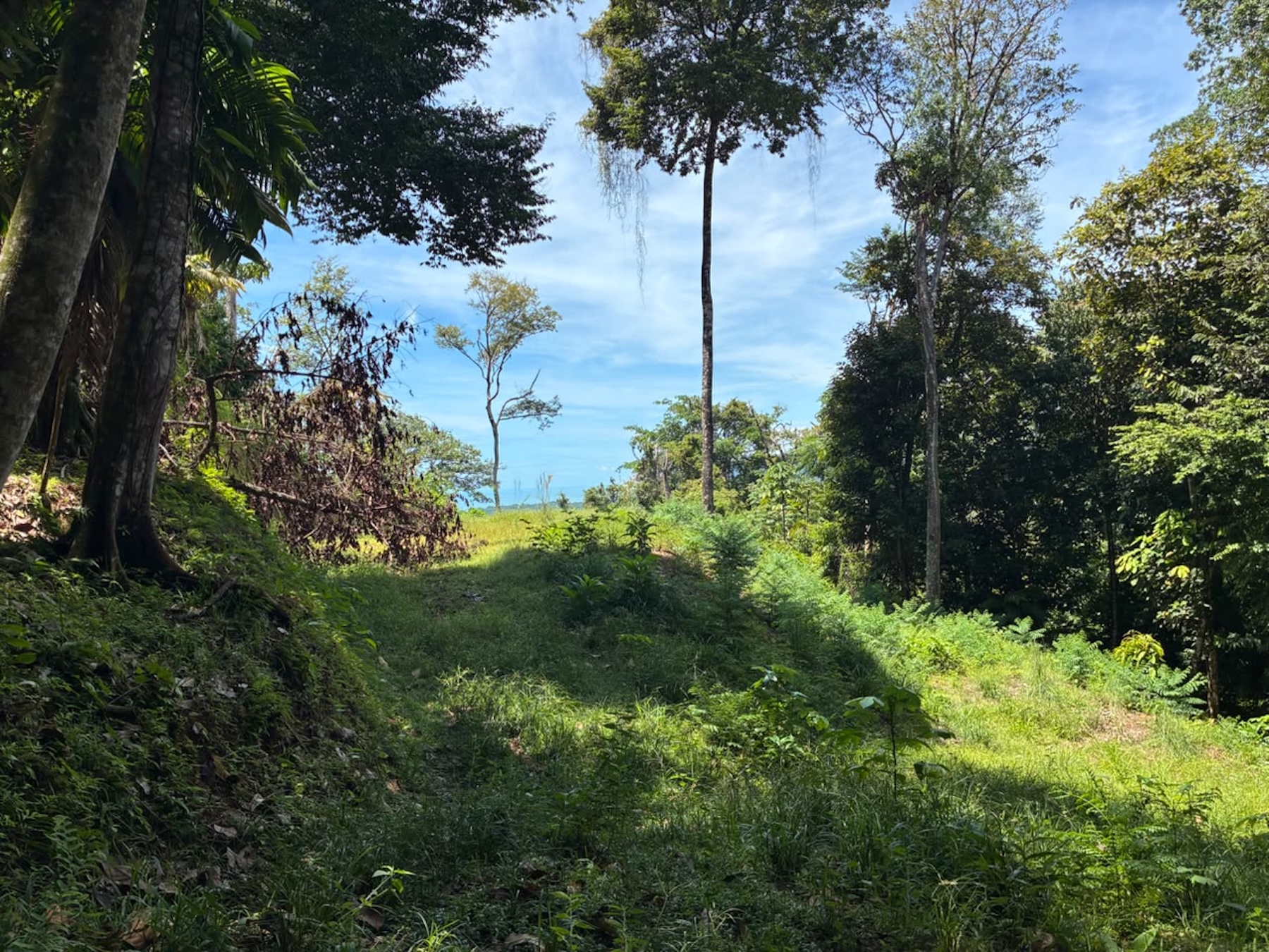 LAND WITH PACIFIC OCEAN VIEWS, IN THE MOUNTAINS OF UVITA LAS BRISAS – 1.7 ACRES
