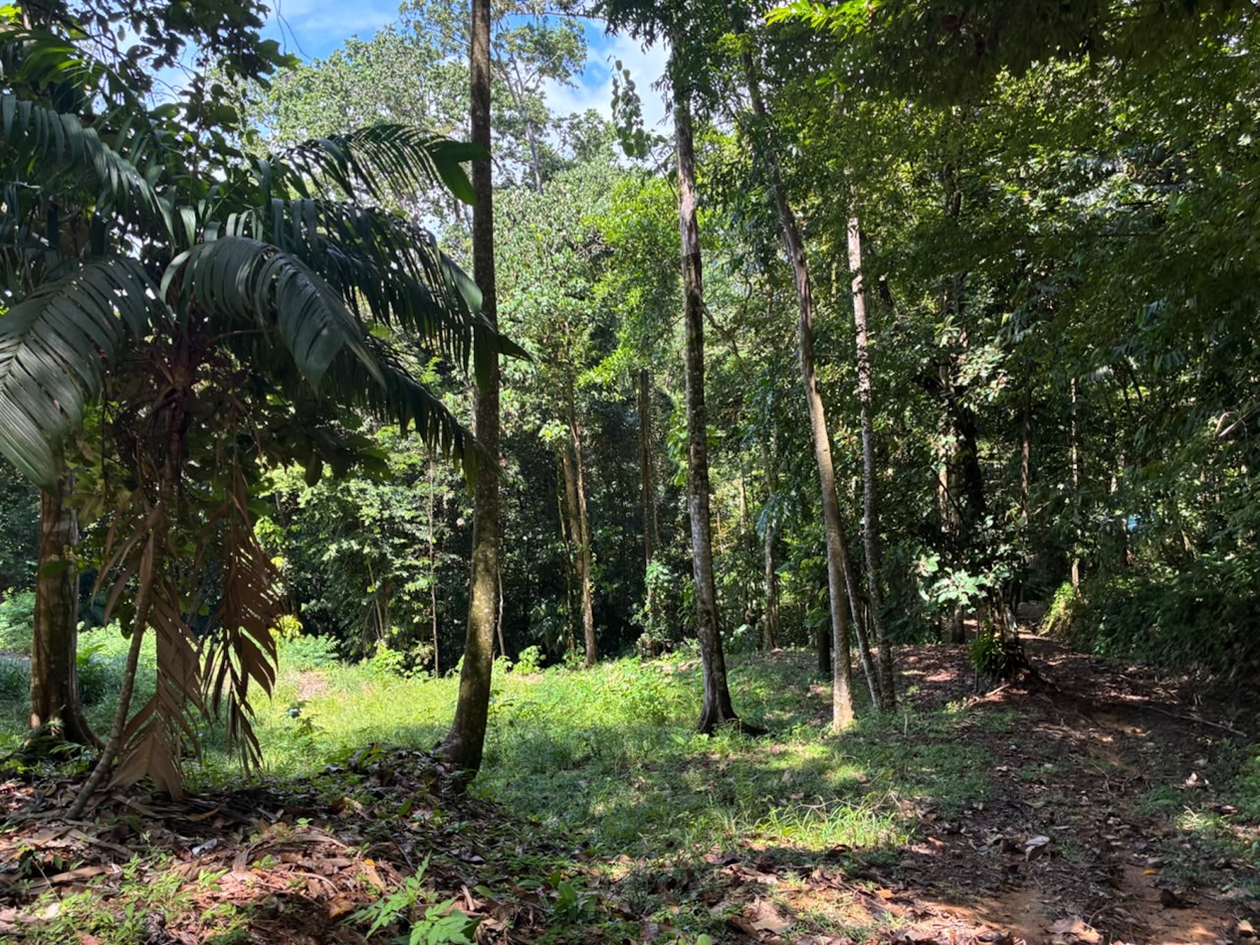 LAND WITH PACIFIC OCEAN VIEWS, IN THE MOUNTAINS OF UVITA LAS BRISAS – 1.7 ACRES