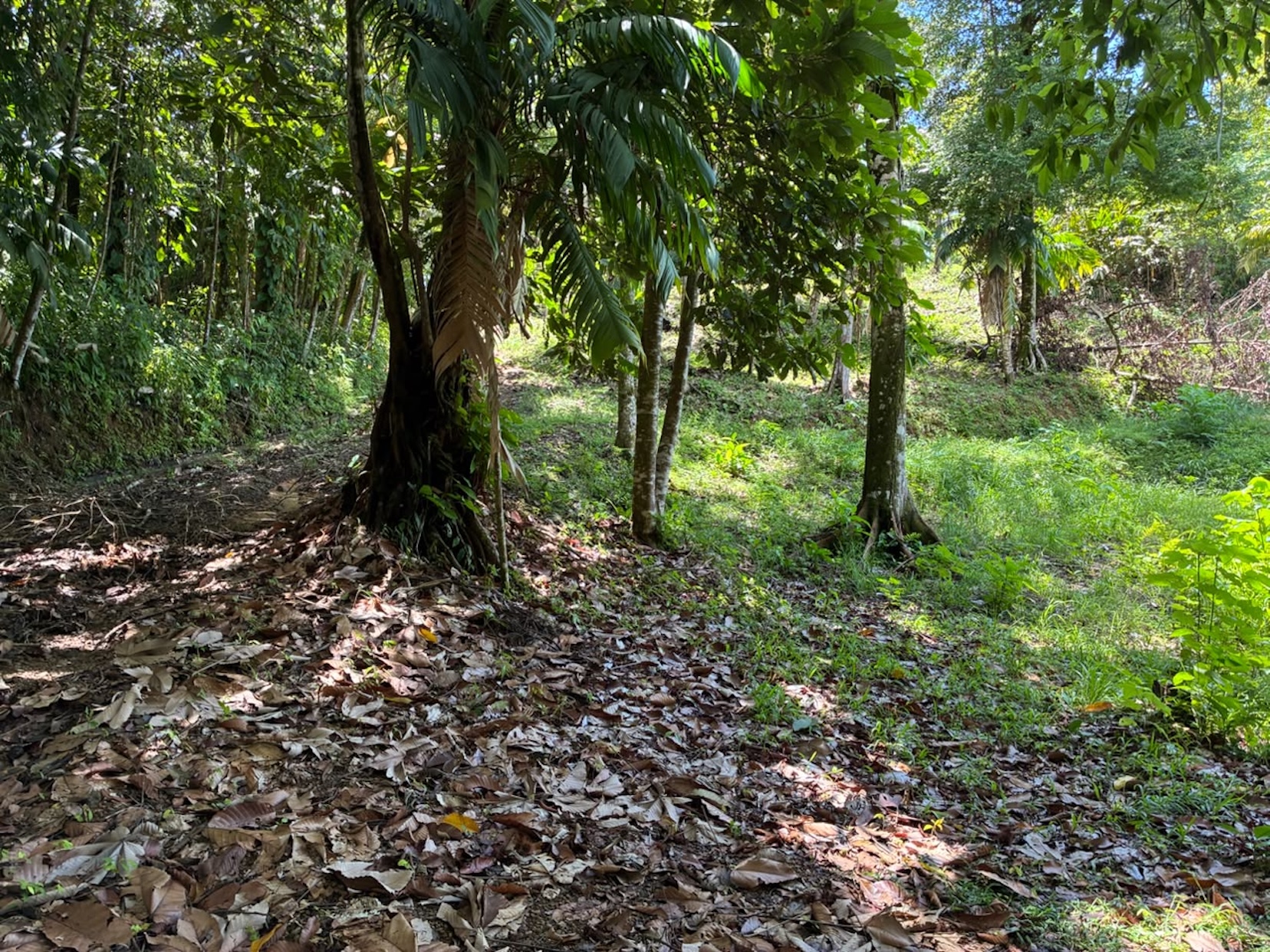 LAND WITH PACIFIC OCEAN VIEWS, IN THE MOUNTAINS OF UVITA LAS BRISAS – 1.7 ACRES