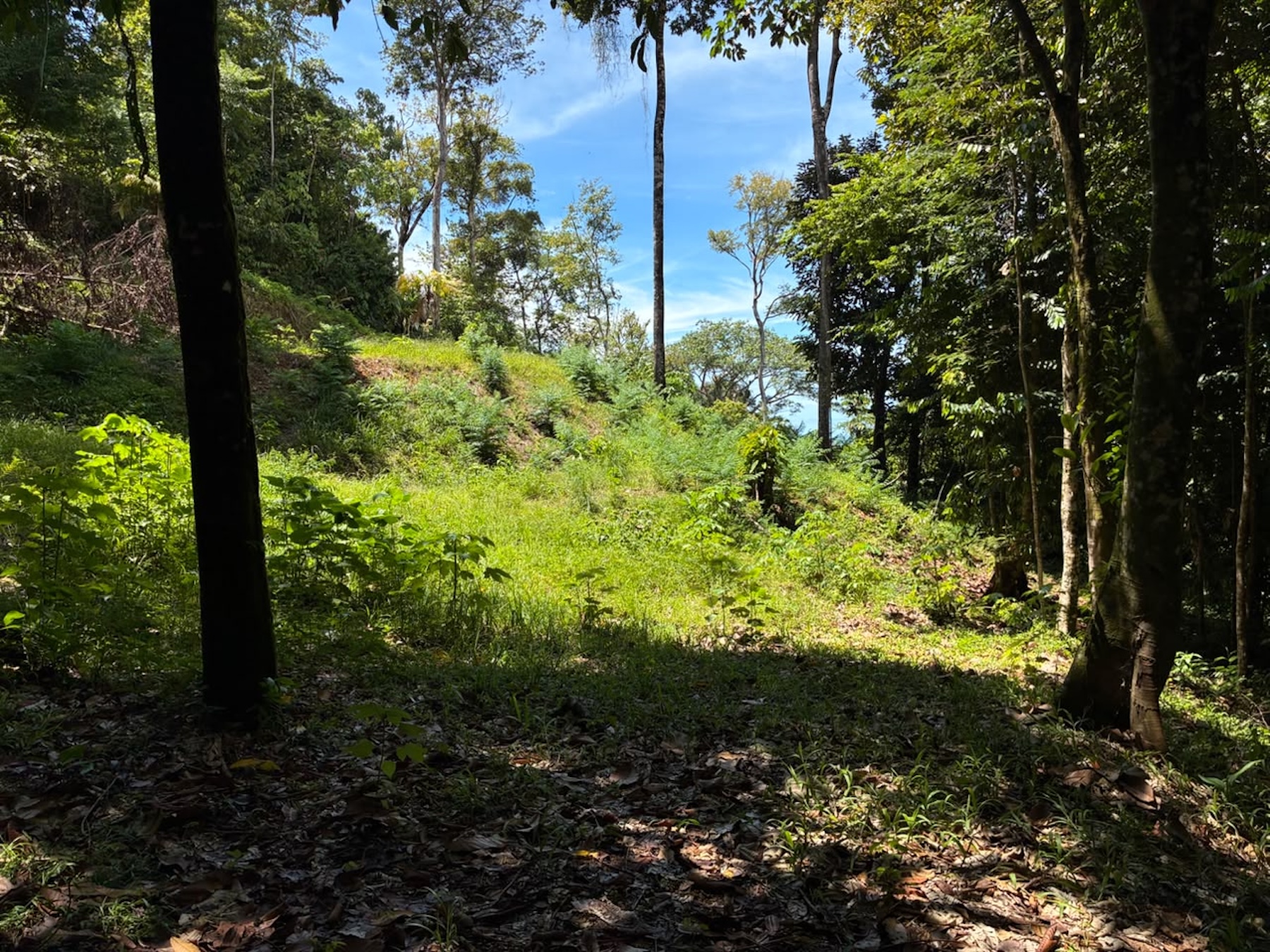 LAND WITH PACIFIC OCEAN VIEWS, IN THE MOUNTAINS OF UVITA LAS BRISAS – 1.7 ACRES
