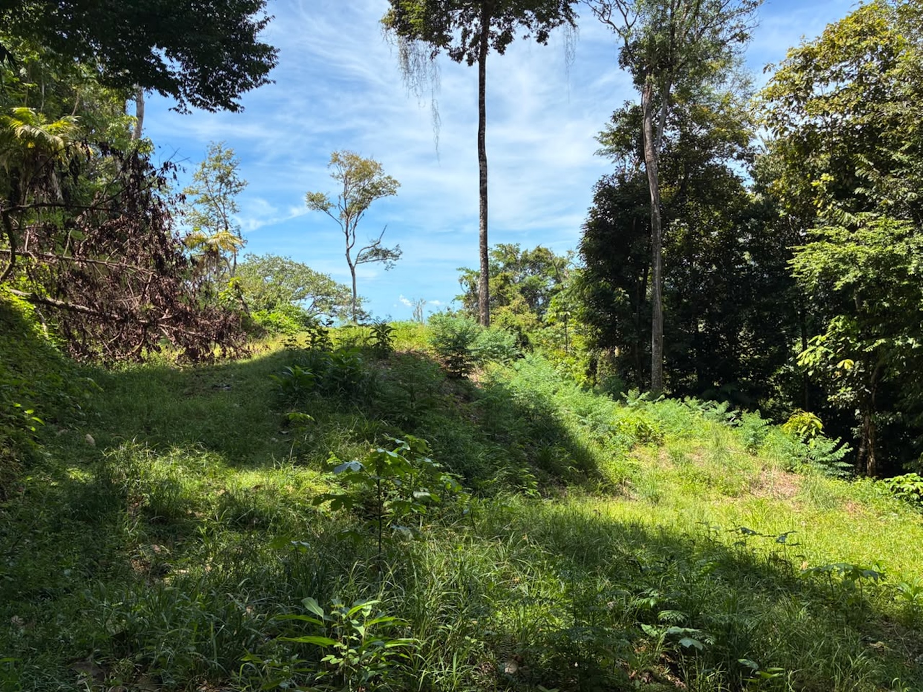 LAND WITH PACIFIC OCEAN VIEWS, IN THE MOUNTAINS OF UVITA LAS BRISAS – 1.7 ACRES
