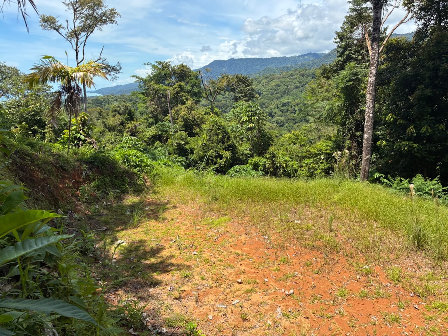 LAND WITH PACIFIC OCEAN VIEWS, IN THE MOUNTAINS OF UVITA LAS BRISAS – 1.7 ACRES