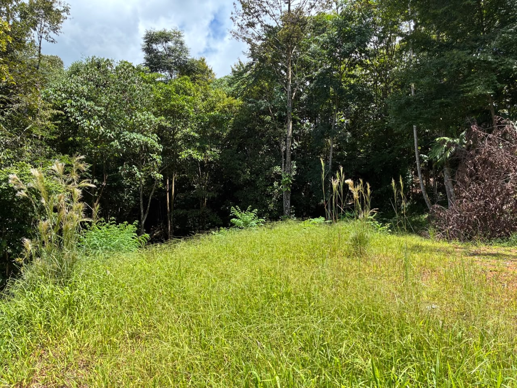 LAND WITH PACIFIC OCEAN VIEWS, IN THE MOUNTAINS OF UVITA LAS BRISAS – 1.7 ACRES