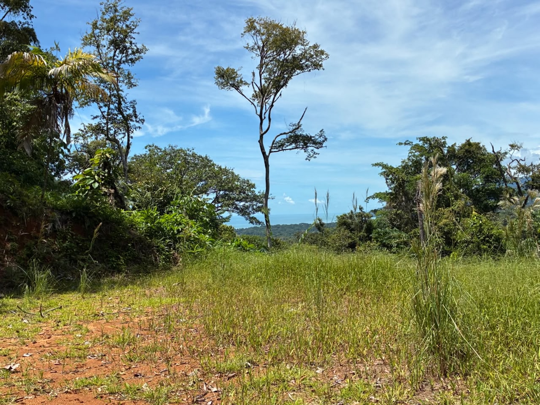 LAND WITH PACIFIC OCEAN VIEWS, IN THE MOUNTAINS OF UVITA LAS BRISAS – 1.7 ACRES