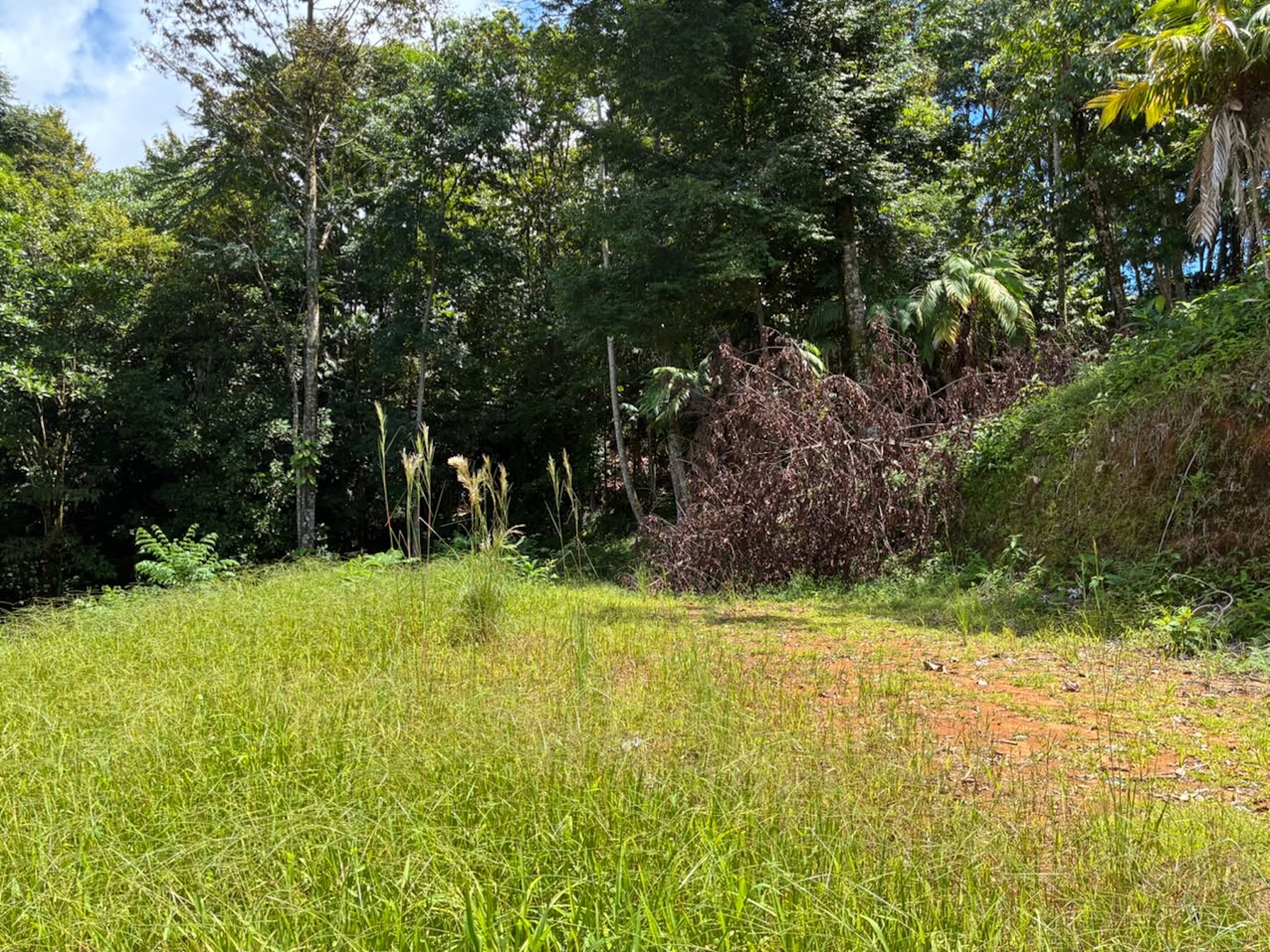 LAND WITH PACIFIC OCEAN VIEWS, IN THE MOUNTAINS OF UVITA LAS BRISAS – 1.7 ACRES