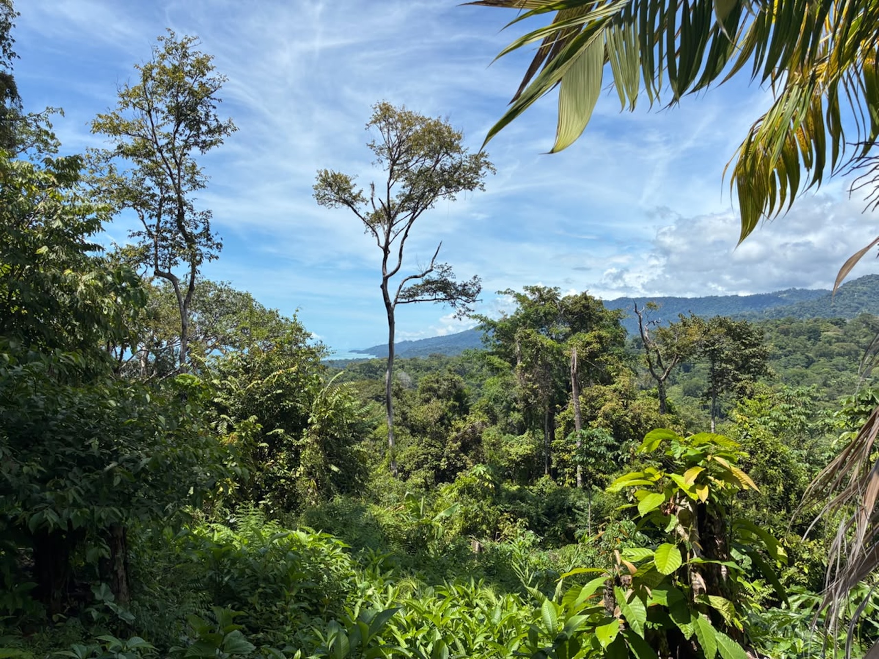 LAND WITH PACIFIC OCEAN VIEWS, IN THE MOUNTAINS OF UVITA LAS BRISAS – 1.7 ACRES