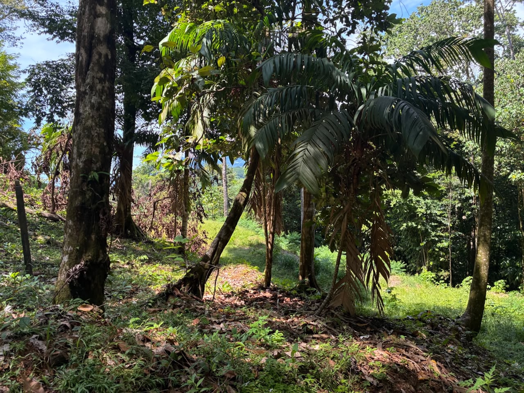 LAND WITH PACIFIC OCEAN VIEWS, IN THE MOUNTAINS OF UVITA LAS BRISAS – 1.7 ACRES