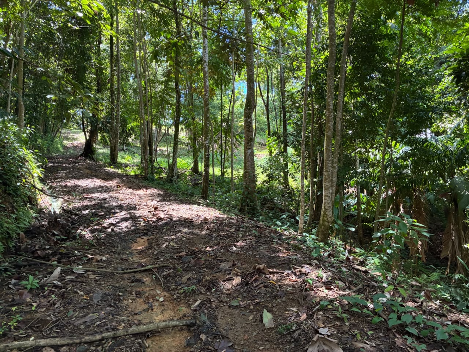 LAND WITH PACIFIC OCEAN VIEWS, IN THE MOUNTAINS OF UVITA LAS BRISAS – 1.7 ACRES
