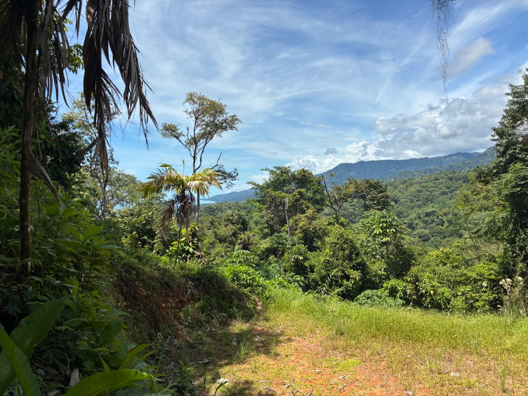 LAND WITH PACIFIC OCEAN VIEWS, IN THE MOUNTAINS OF UVITA LAS BRISAS – 1.7 ACRES