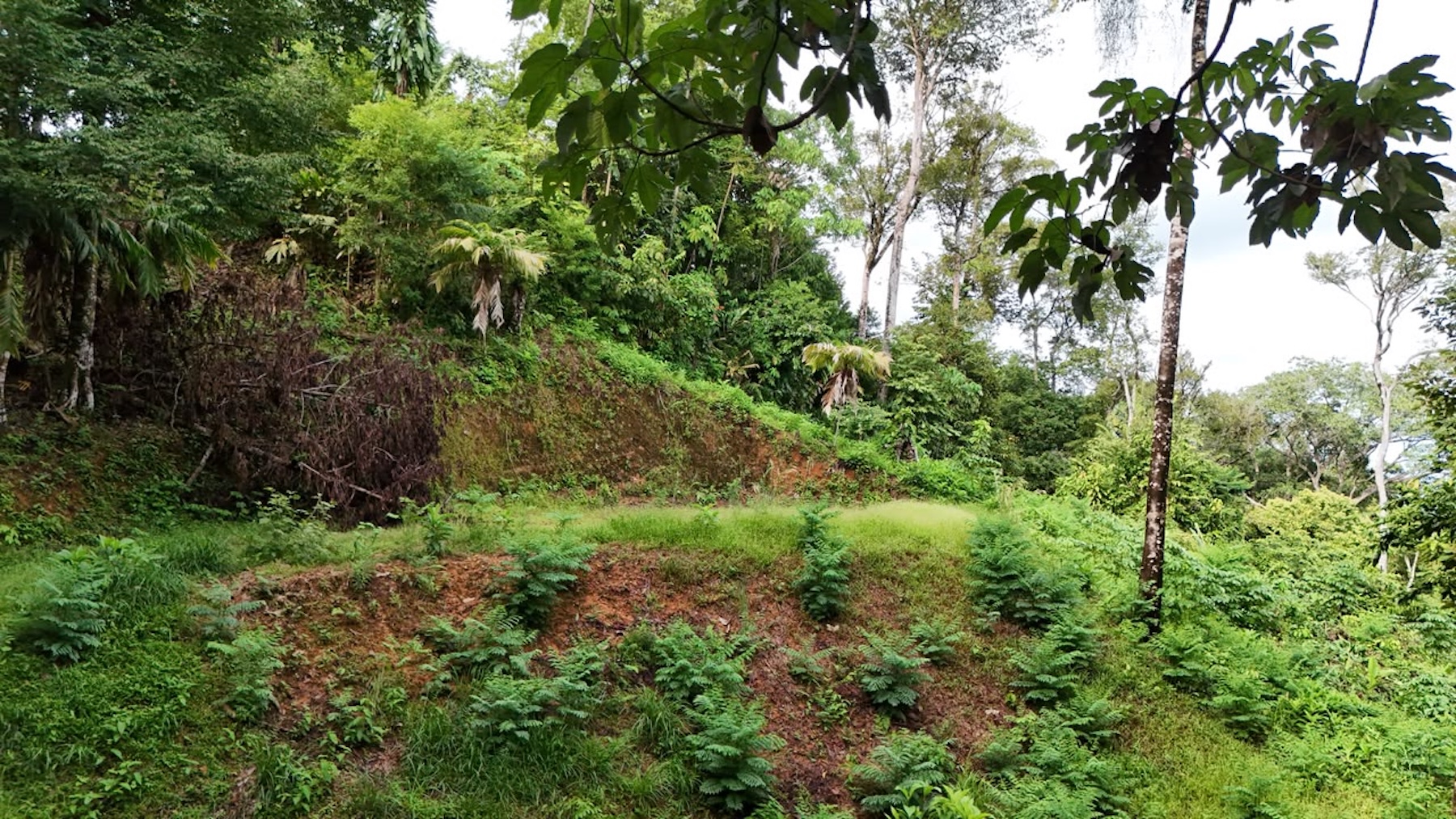 LAND WITH PACIFIC OCEAN VIEWS, IN THE MOUNTAINS OF UVITA LAS BRISAS – 1.7 ACRES