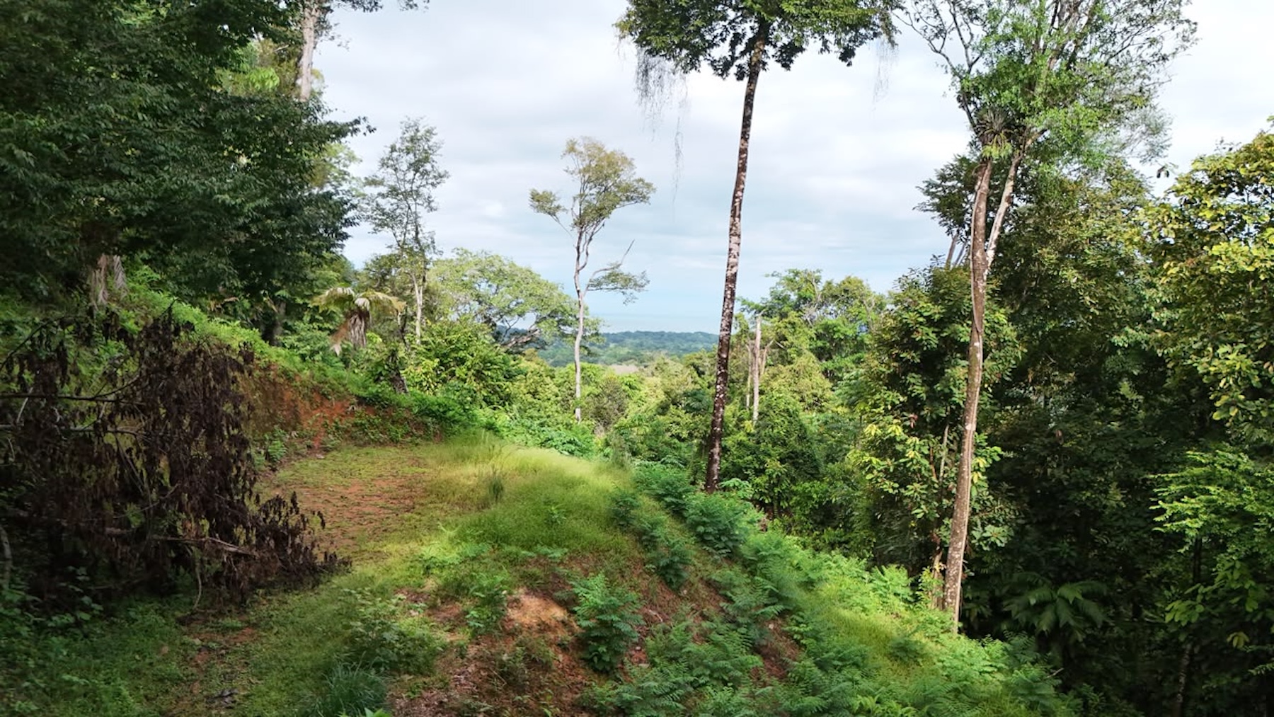 LAND WITH PACIFIC OCEAN VIEWS, IN THE MOUNTAINS OF UVITA LAS BRISAS – 1.7 ACRES