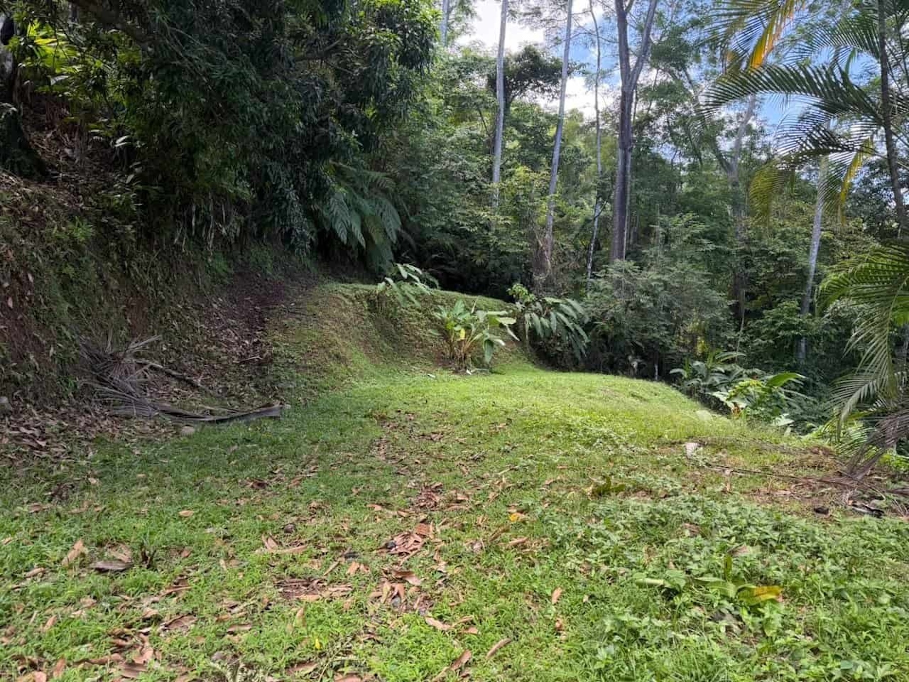 PROPERTY WITH OCEAN, RIVER, AND PRIVATE TROPICAL RAINFOREST VIEWS, IN MATAPALO – 13.98 ACRES